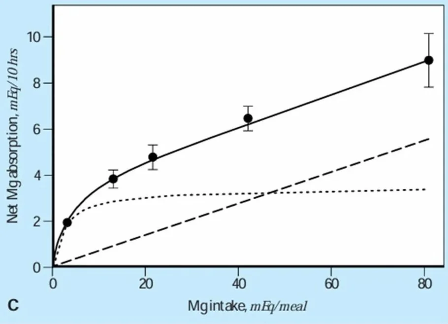Intestinal magnesium (Mg) absorption, with active absorption (dotted line) and passive absorption (dashed line).