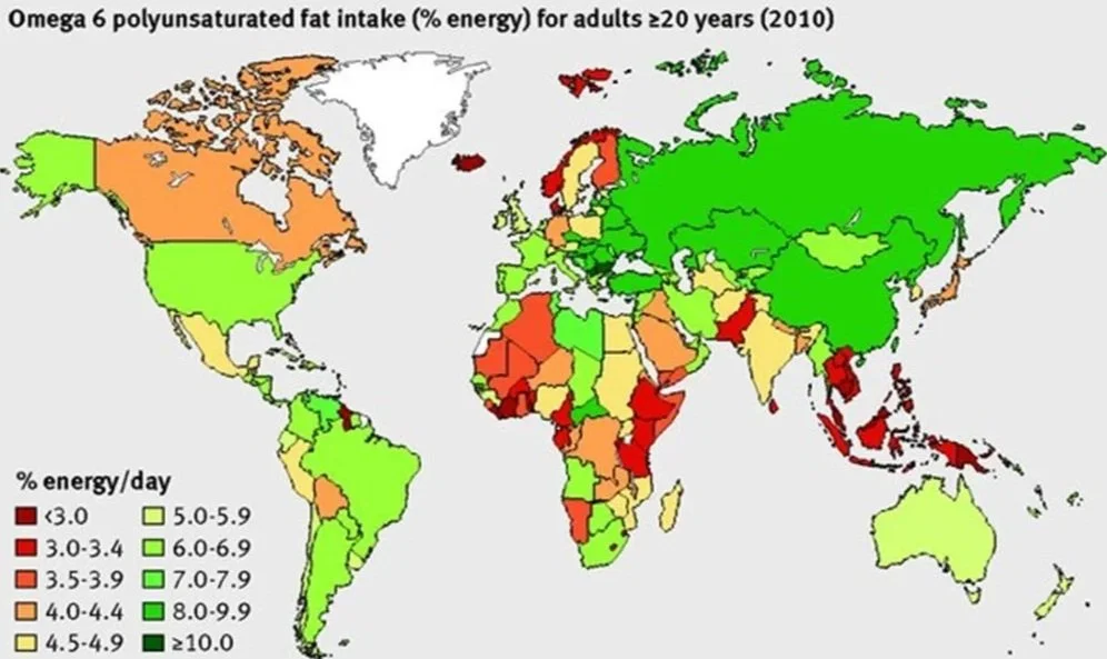 Global omega-6 intakes