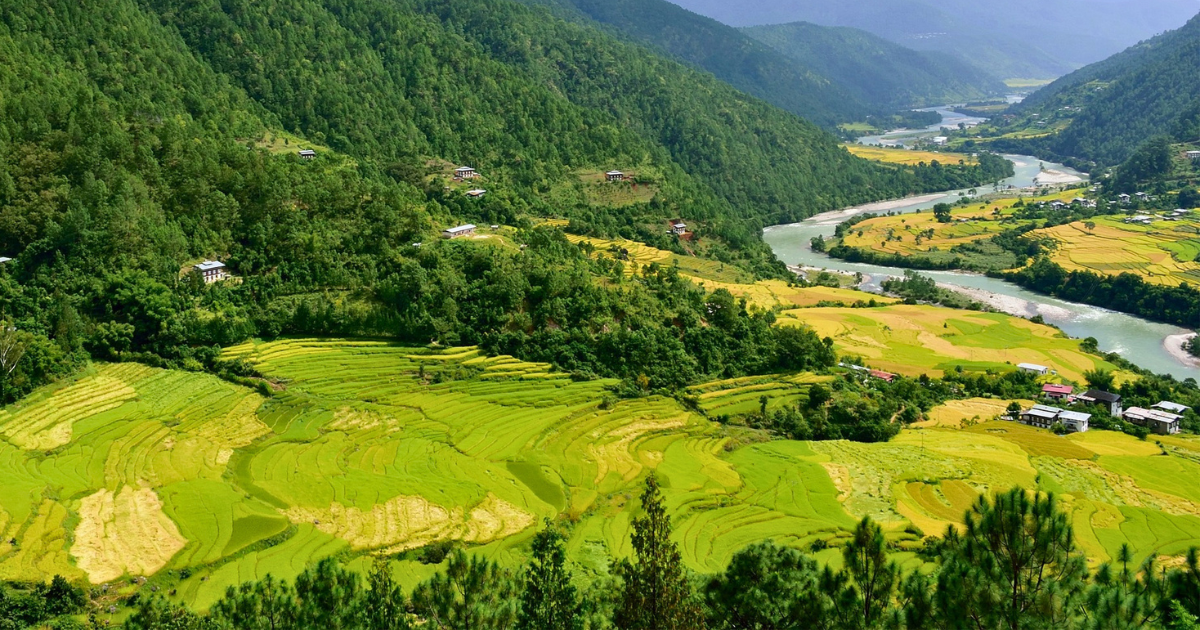 Terraced fields and a river valley in eastern Bhutan