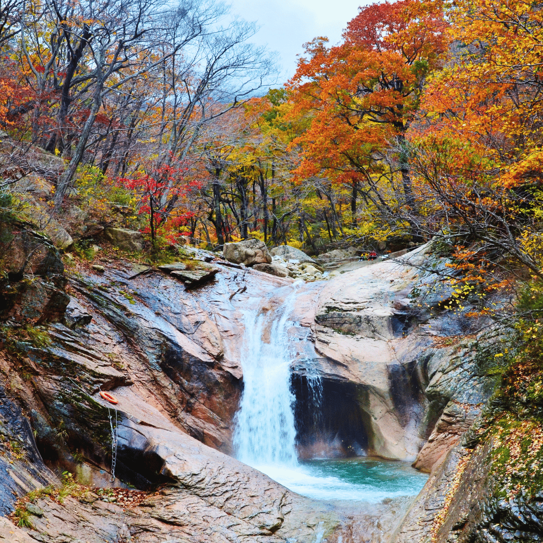A cascading waterfall flowing over rocks in a forest during autumn with colorful fall foliage.