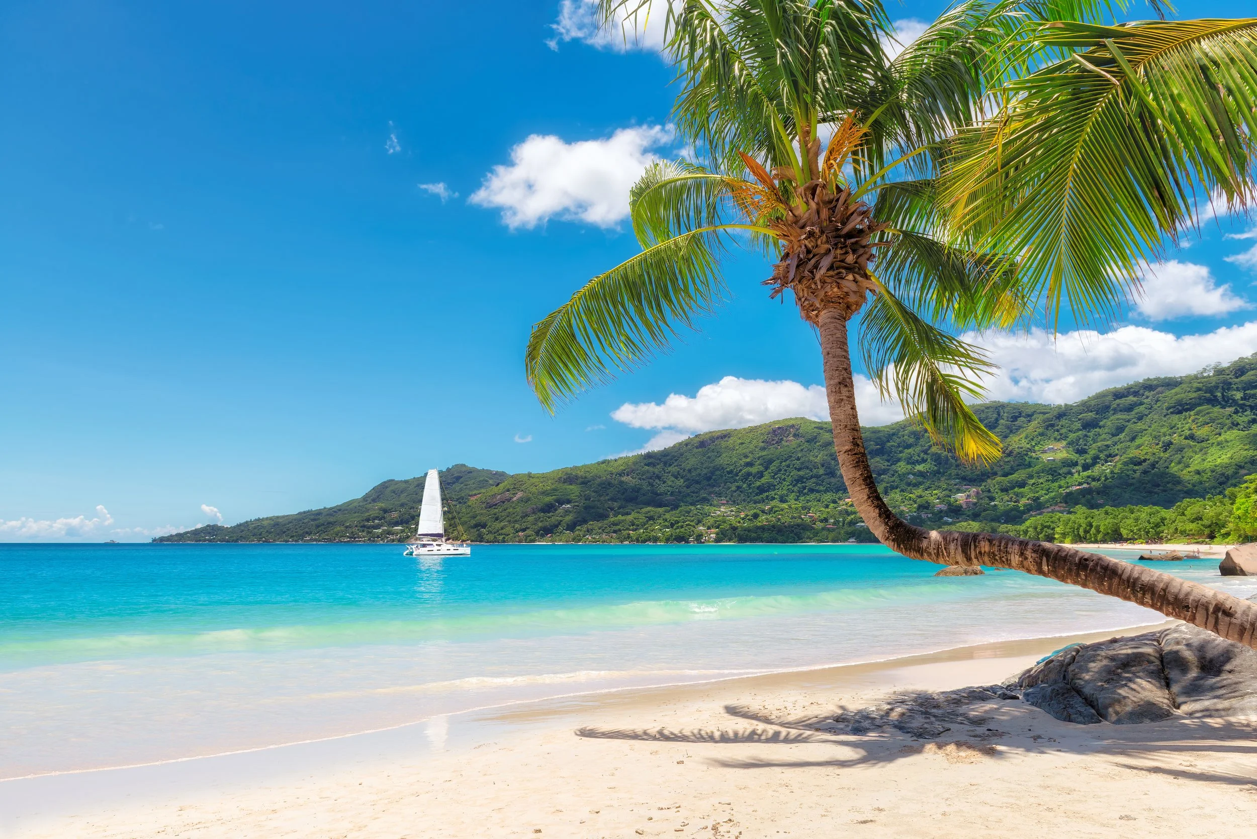 Tropical beach scene with a leaning palm tree, turquoise water, a sailboat, green mountains, and a partly cloudy blue sky.