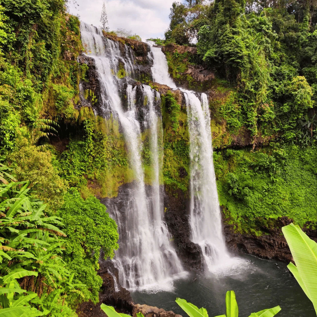 Multiple waterfalls cascade down a rocky cliff amidst lush green tropical foliage.