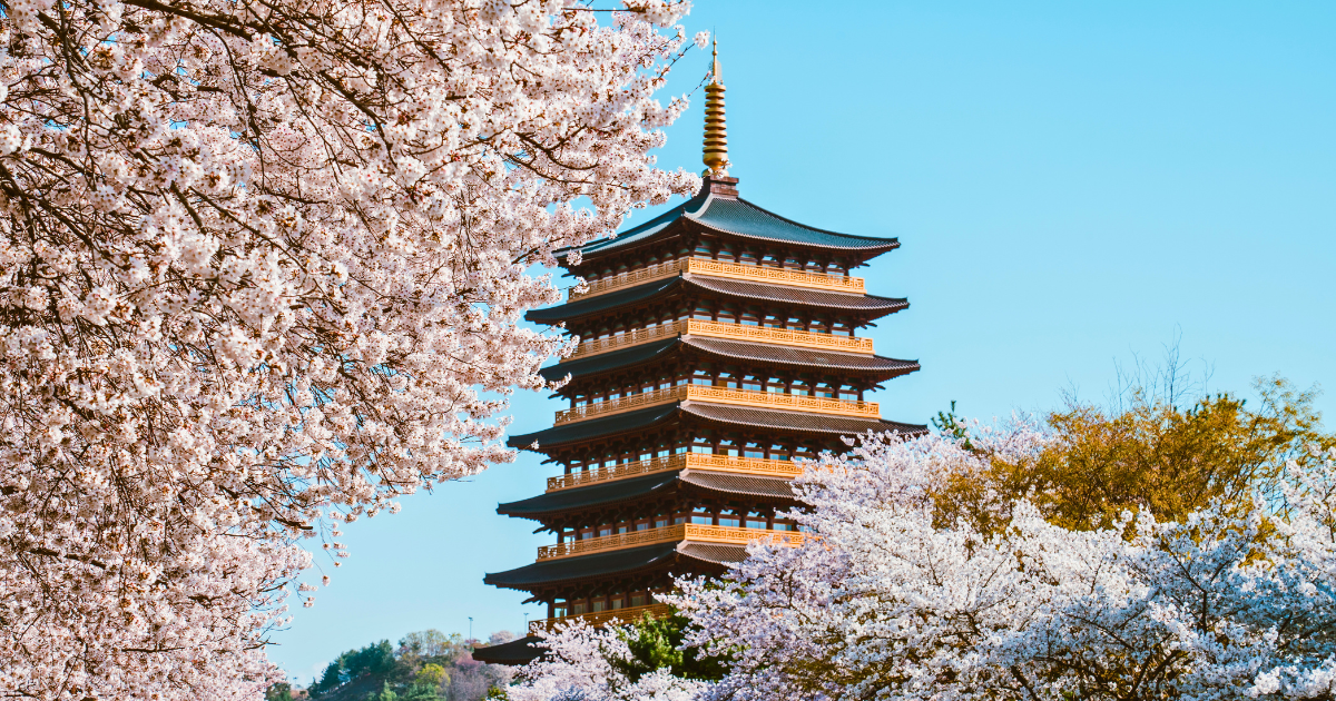 Historic pagoda in Gyeongju framed by cherry blossoms