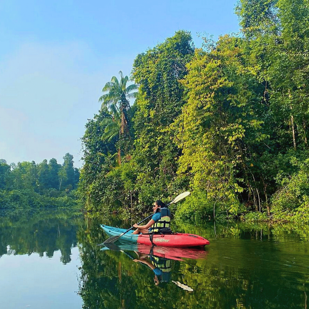 Person kayaking on a calm river surrounded by lush green trees and vegetation.