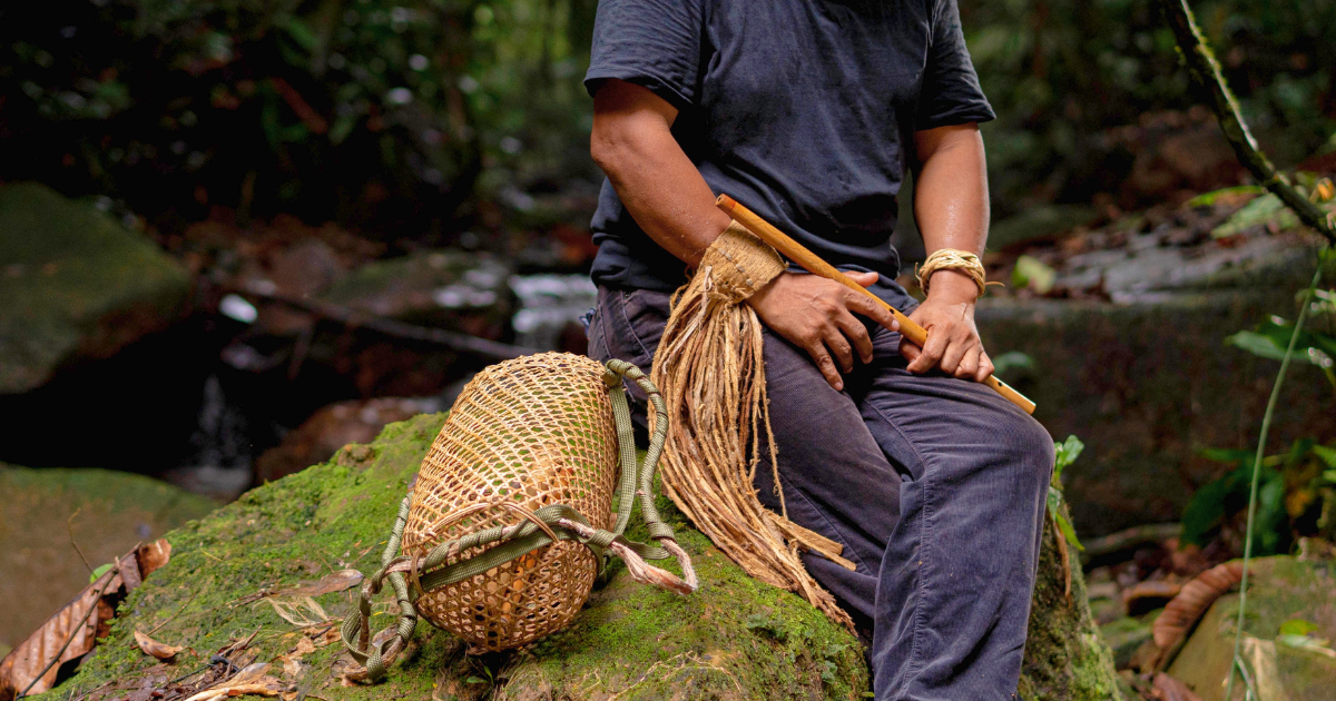 A handwoven rattan basket and bamboo tool beside a forest stream