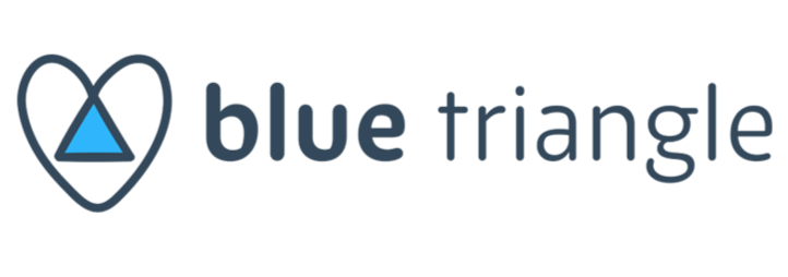 Blue Triangle logo