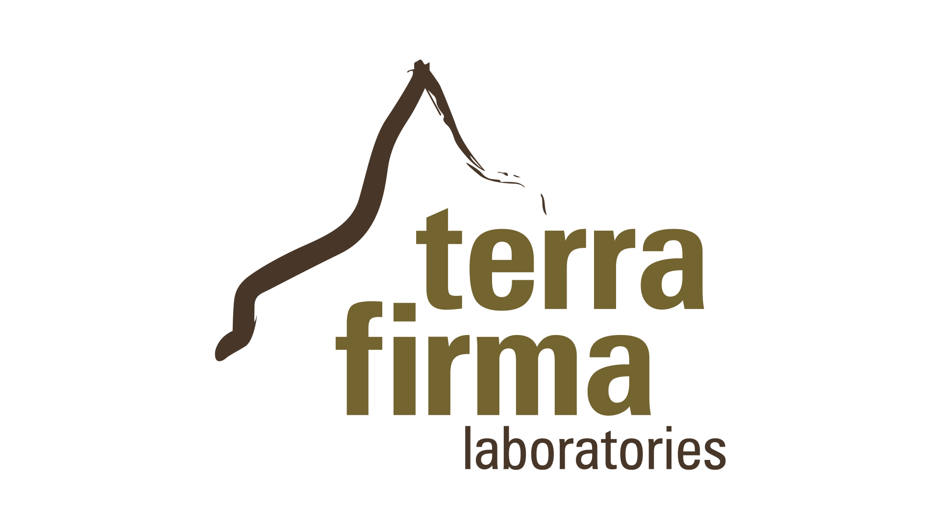 Terra-Firma-logo.png