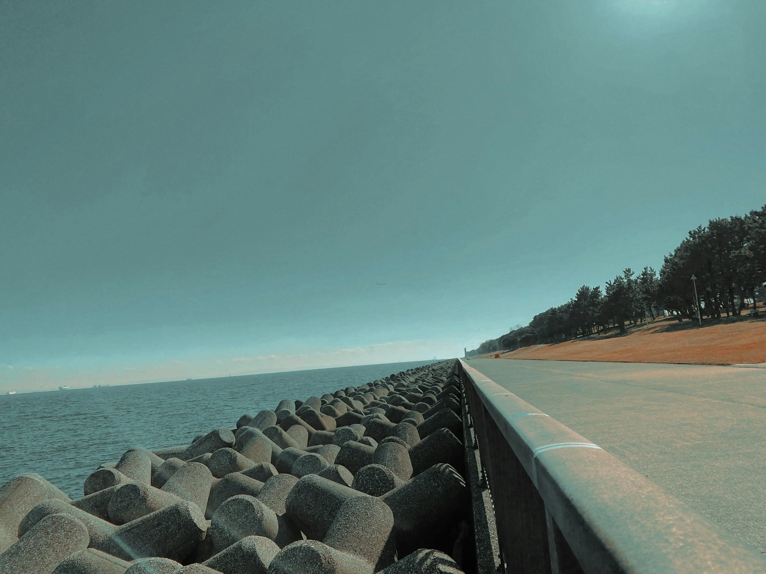 A scenic coastal road with large rocks along the water on the left and a row of trees on the right, under a clear blue sky.