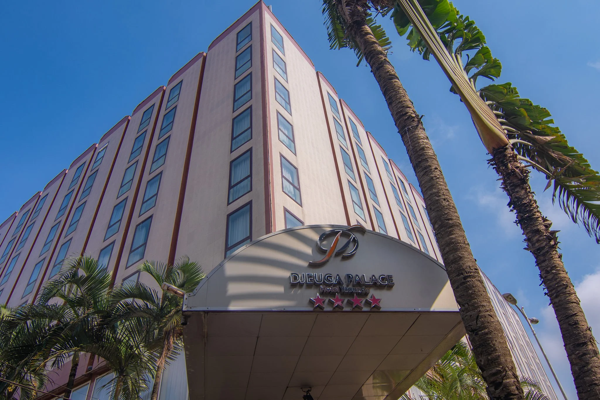Tall pink hotel building with multiple windows and palm trees in front, under blue sky.