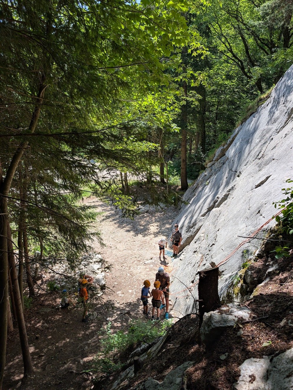 Close-up of a climbing anchor with a carabiner attached to a rock face during outdoor rock climbing, with a green forest background.