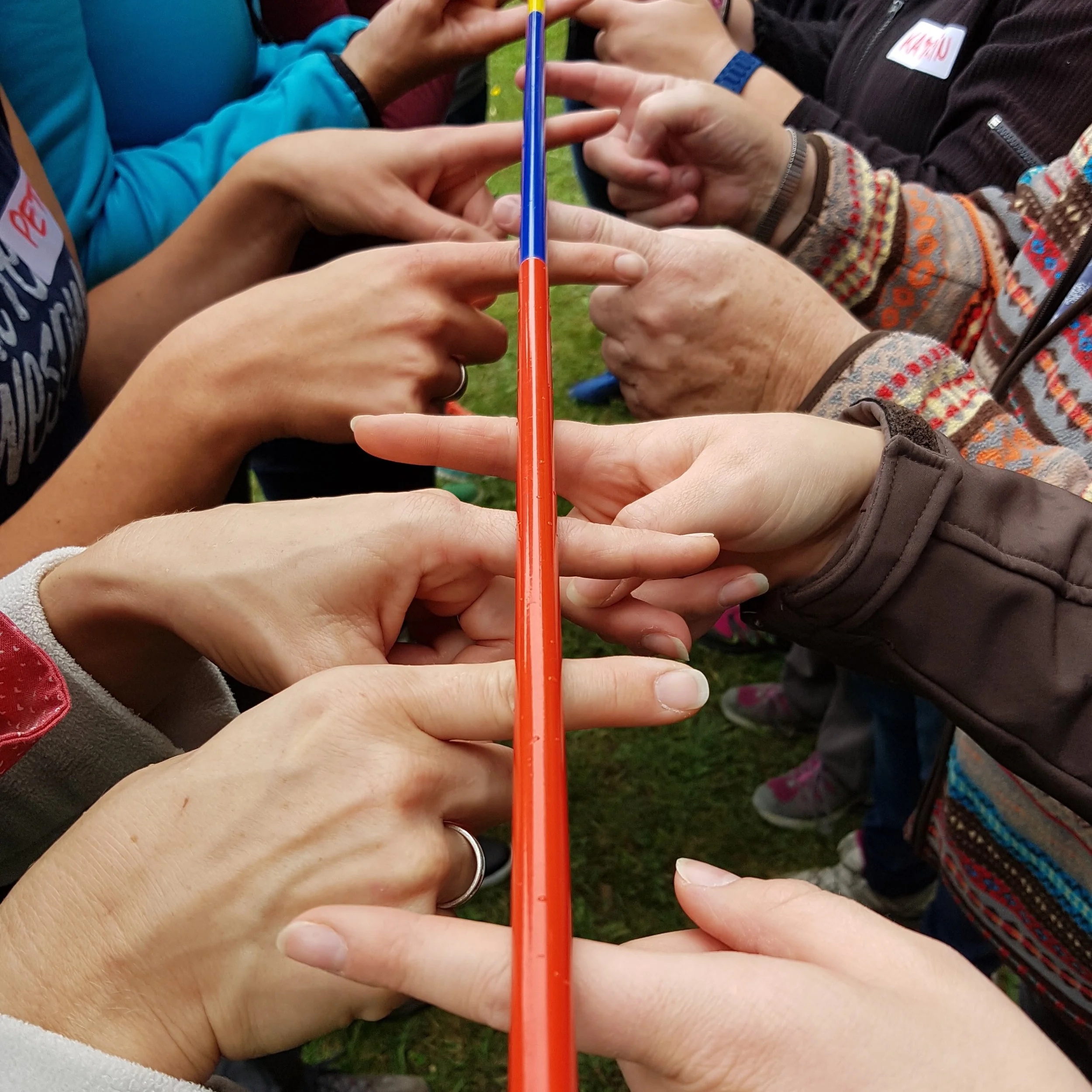 Multiple hands of varying skin tones and ages are interconnected, with some fingers touching or intertwined, forming a circular pattern around a long, colorful stick or pole. The hands are outdoors on grass.