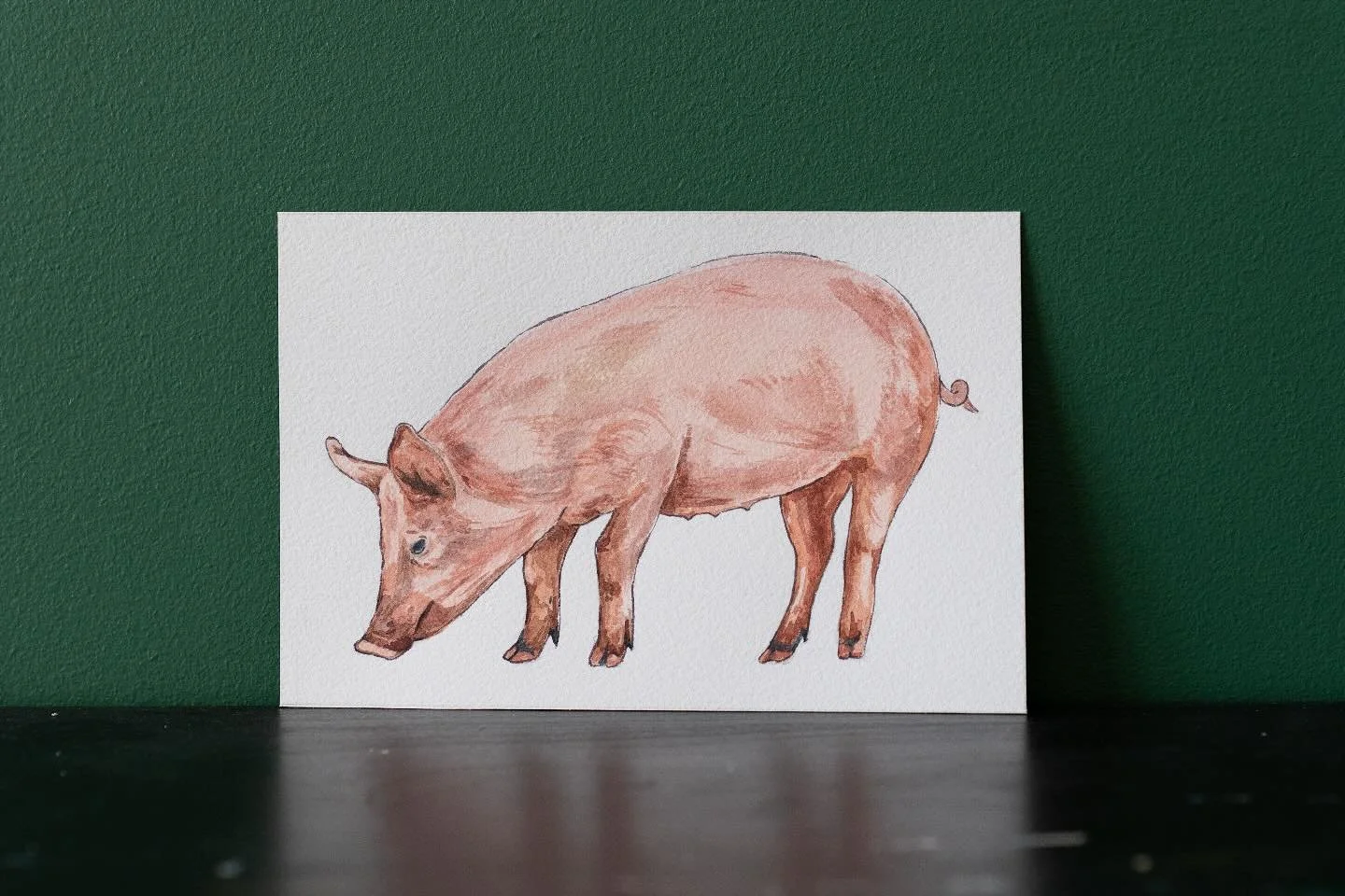 Got the watercolors back out for this little pig painting, and I&rsquo;m so happy with how it turned out! I love the subtle color shifts in the shadows and it just felt so good to paint small again.