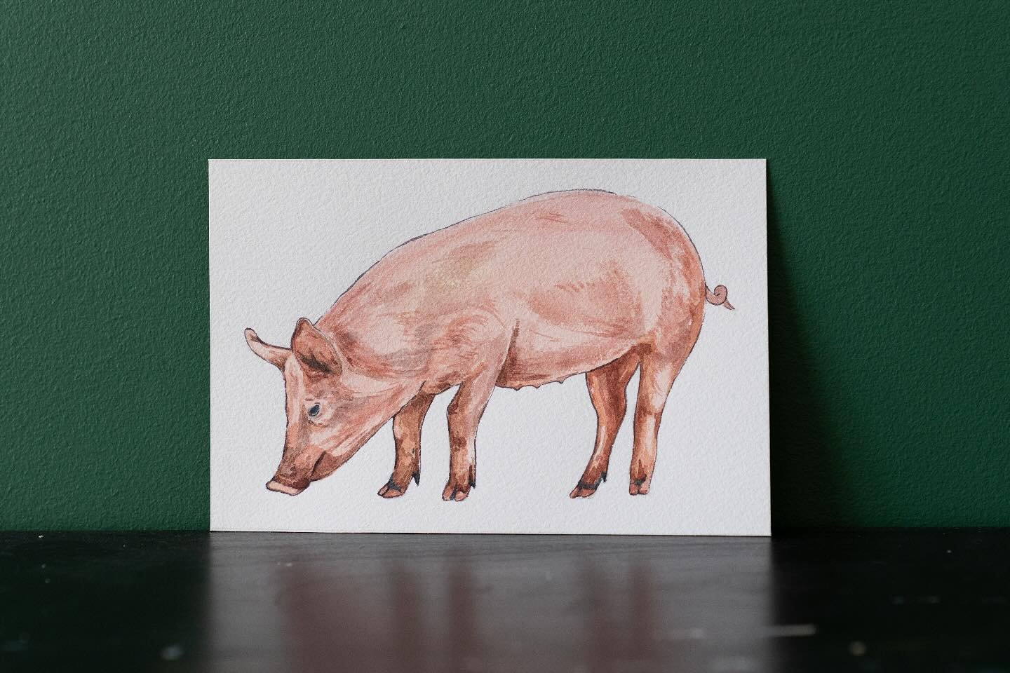 Got the watercolors back out for this little pig painting, and I&rsquo;m so happy with how it turned out! I love the subtle color shifts in the shadows and it just felt so good to paint small again.
