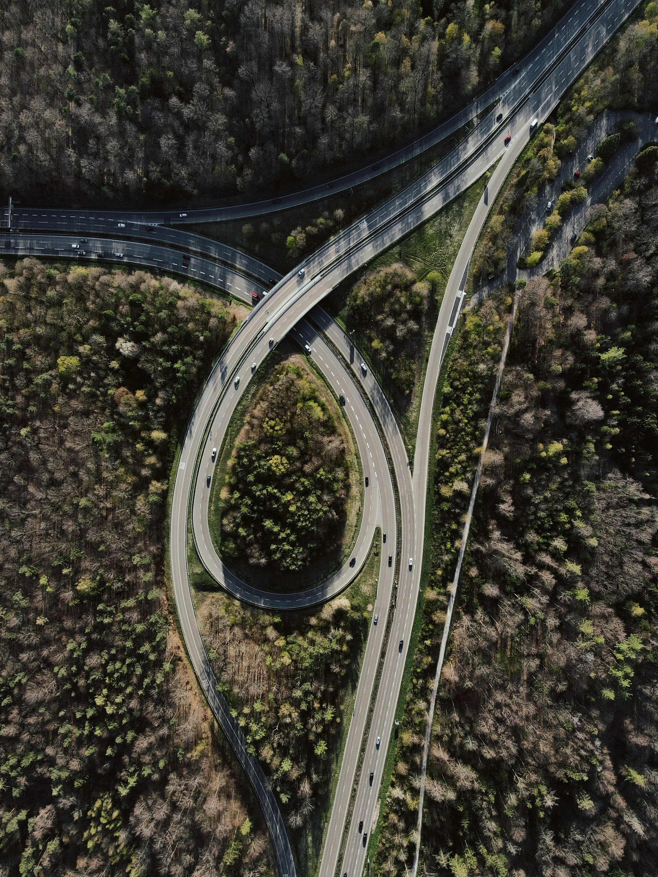 An aerial view of a highway overpass surrounded by trees, featuring a looping cloverleaf ramp connecting two highways.