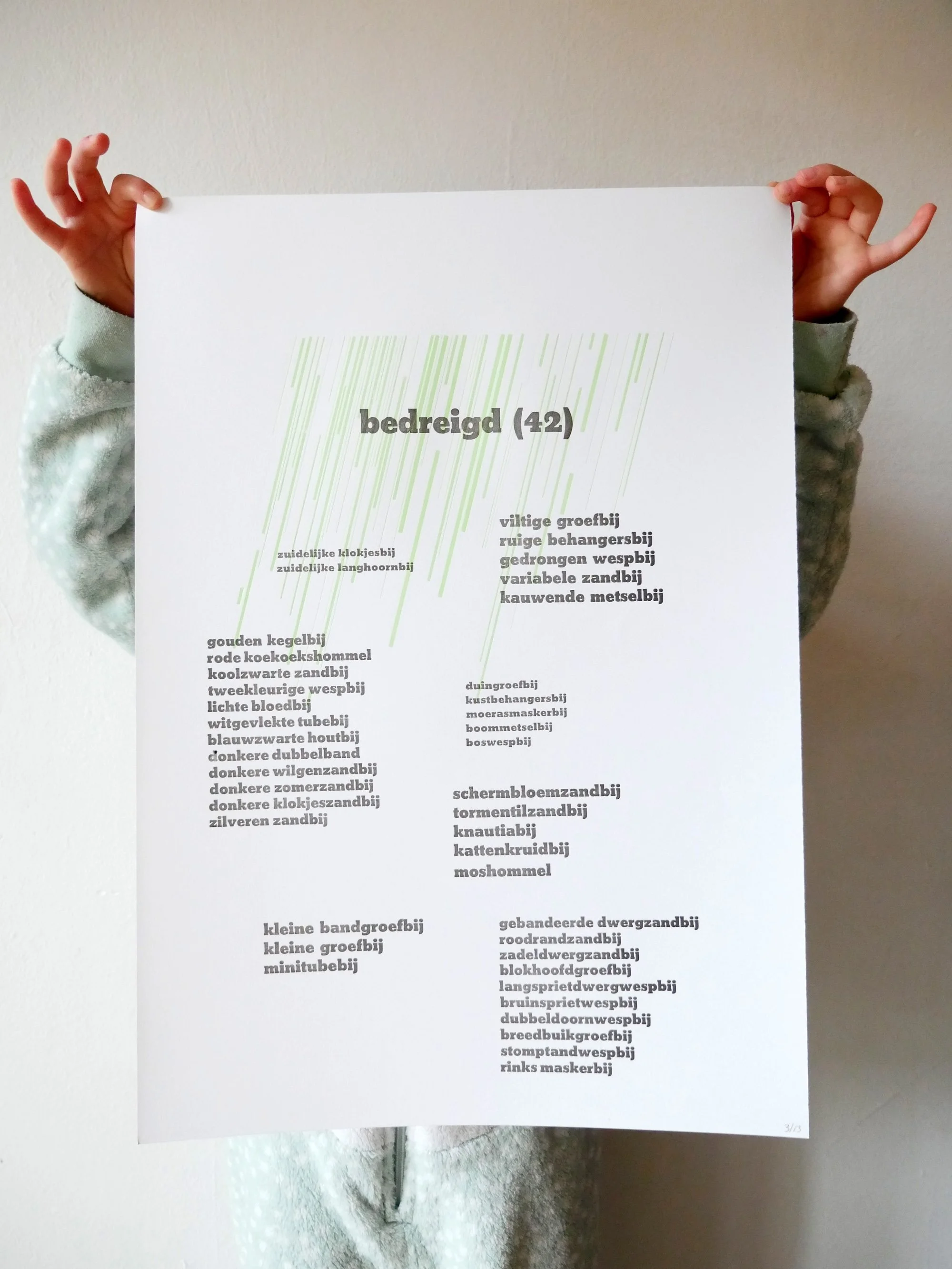 wilde bijen in nederland rode lijst bedreigd