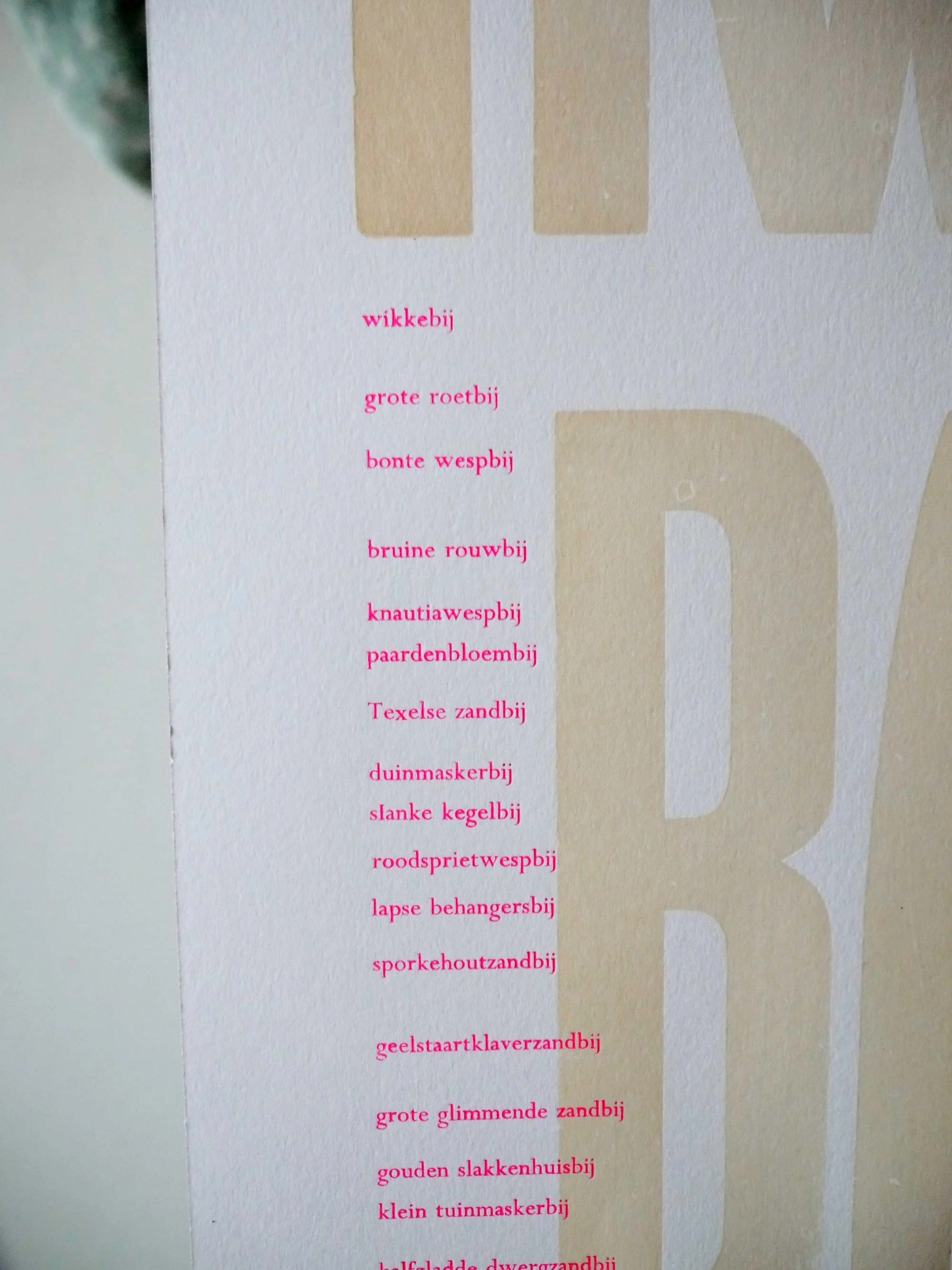 wilde bijen in nederland rode lijst kwetsbaar detail