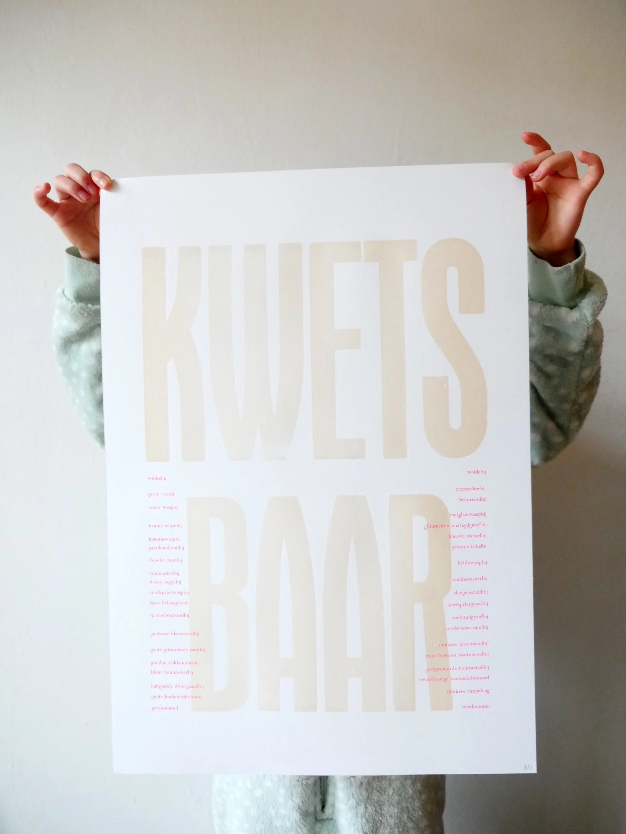 wilde bijen in nederland rode lijst kwetsbaar