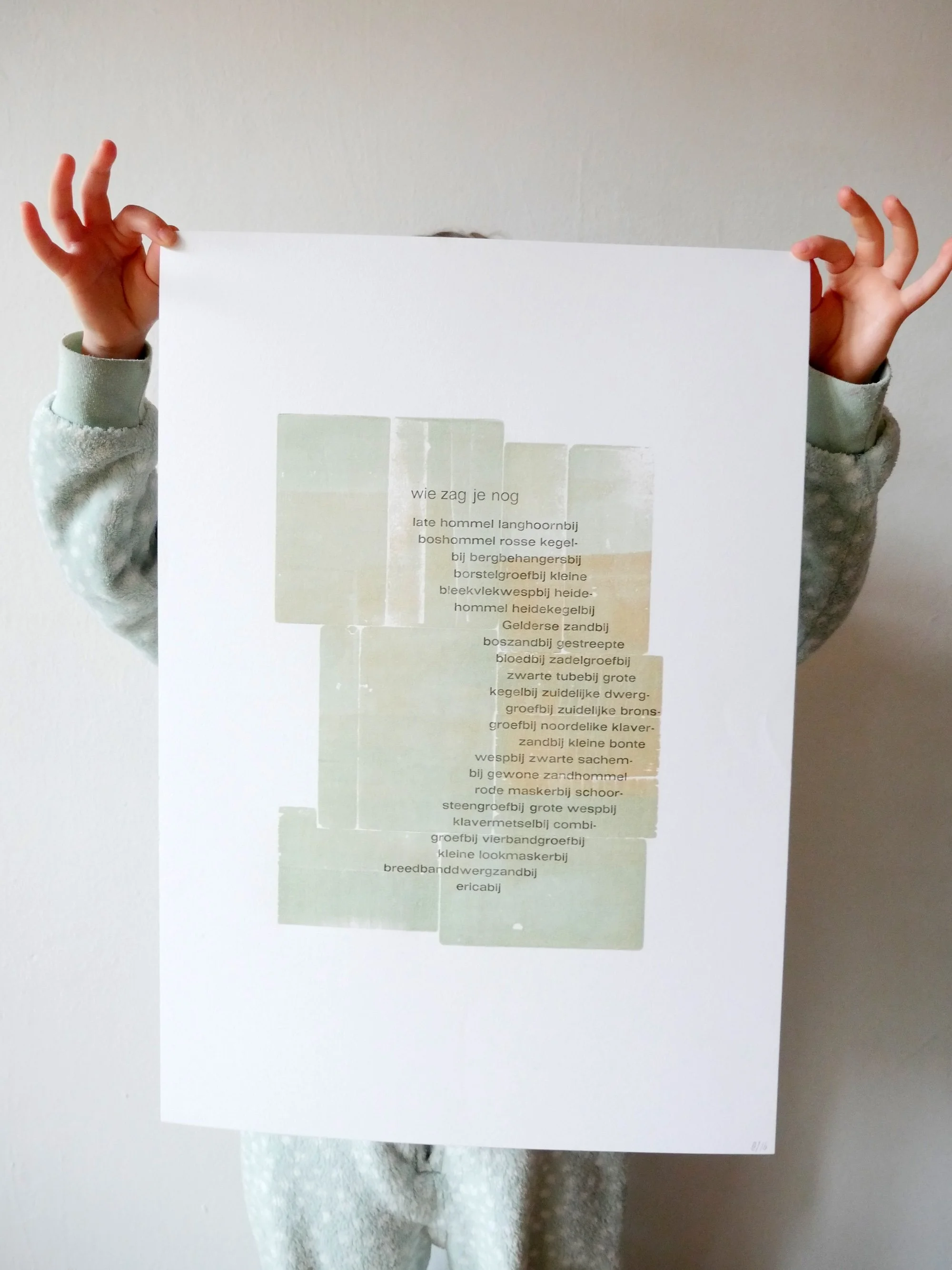 wilde bijen in nederland rode lijst ernstig bedreigd