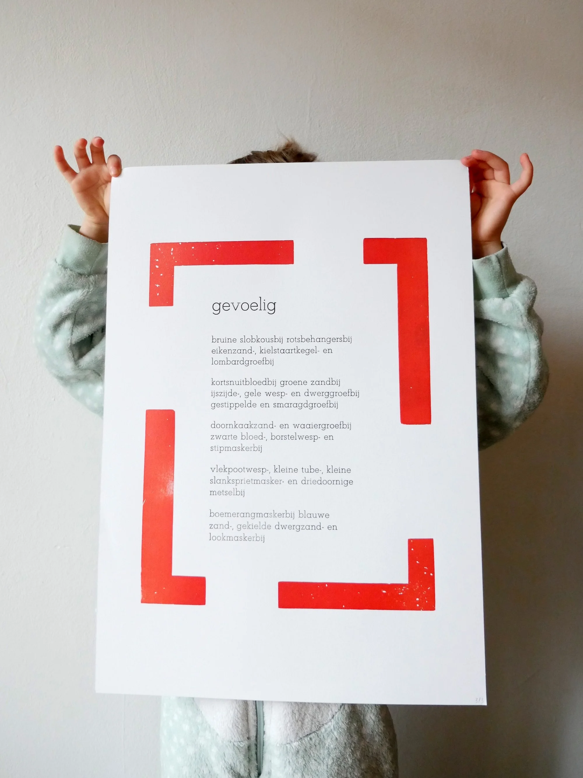 wilde bijen in nederland rode lijst gevoelig