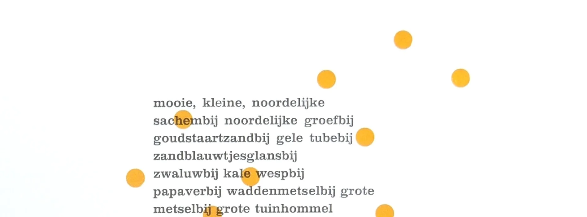 verdwenen a uitsnedeJPG.JPG