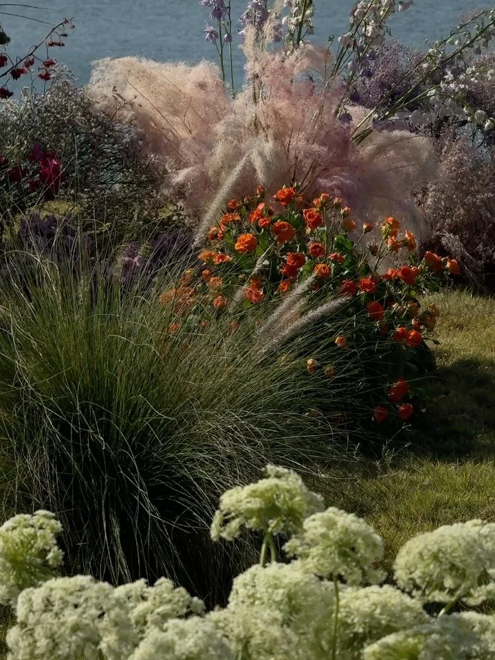Modern tones&mdash;tangerine, blush, green, and purple&mdash;fading into endless blue. For S+L