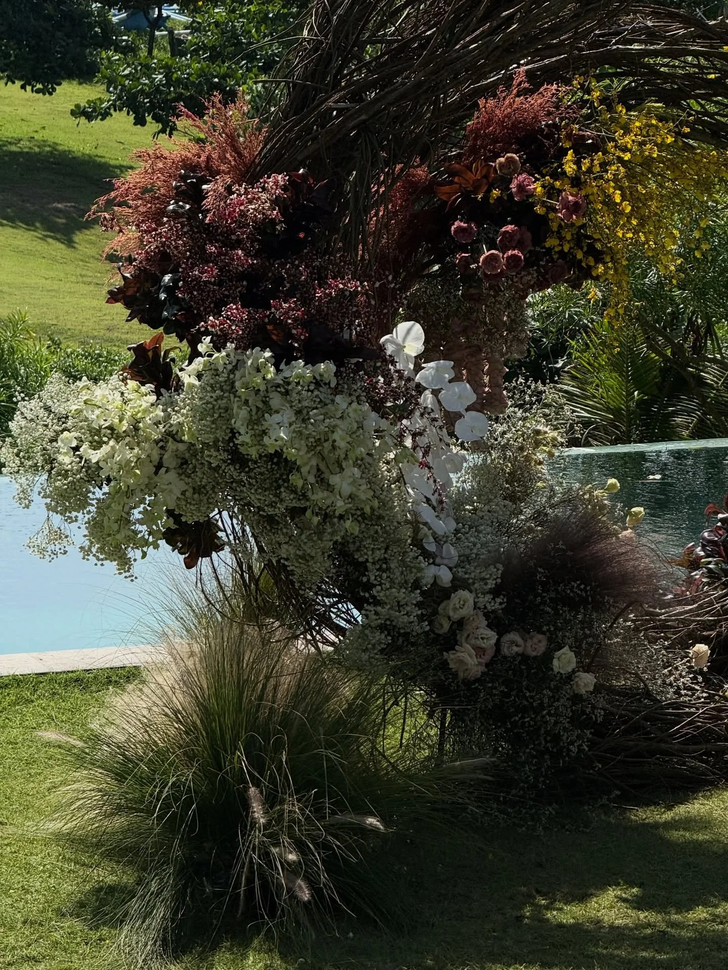 Vines don&rsquo;t follow rules &mdash; we curl, we climb, we loop.