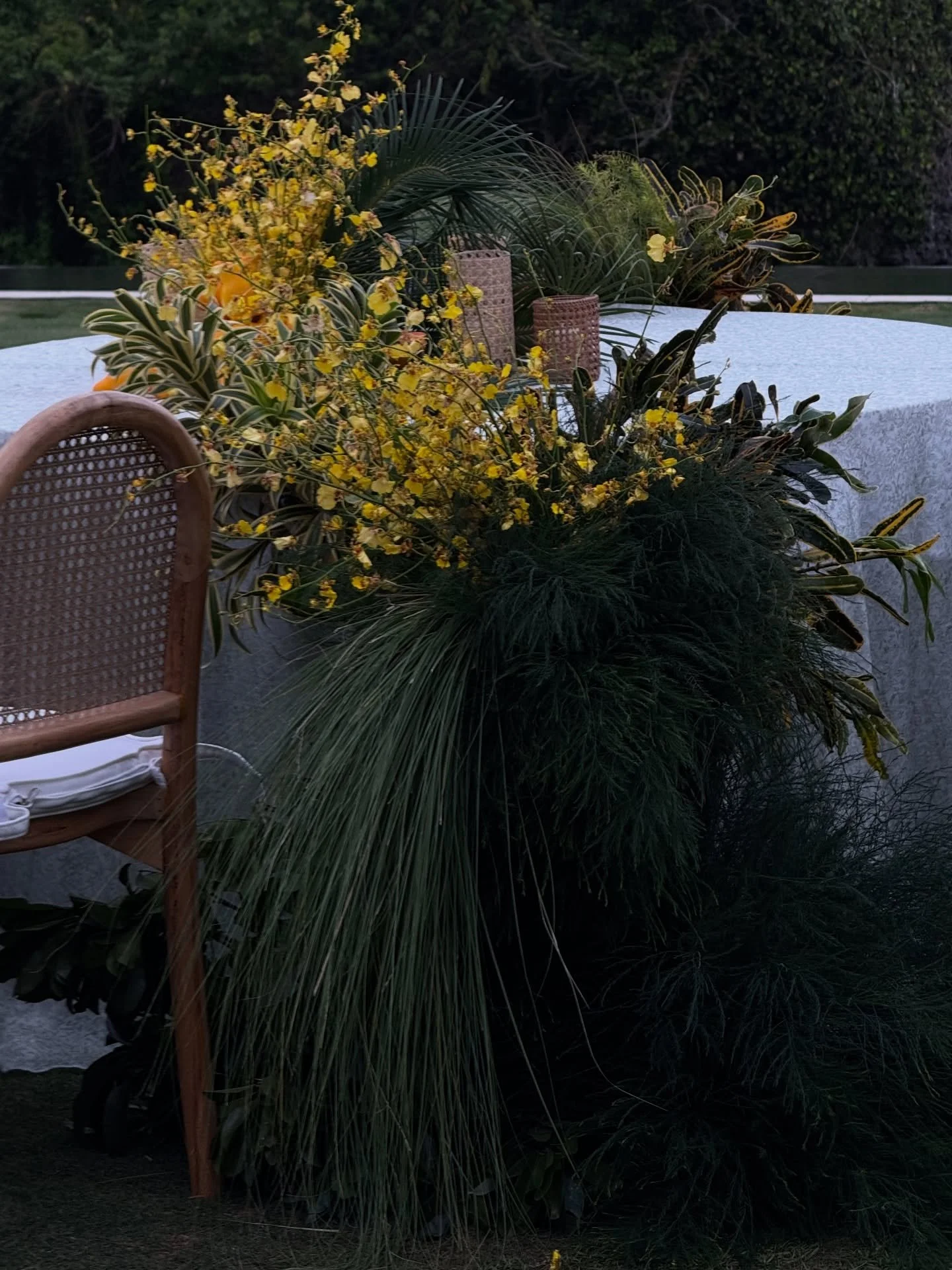 Too playful to be proper.