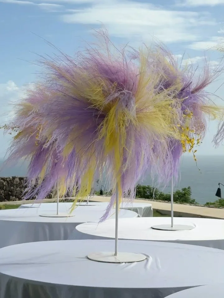 Cotton candy for the sky🫟