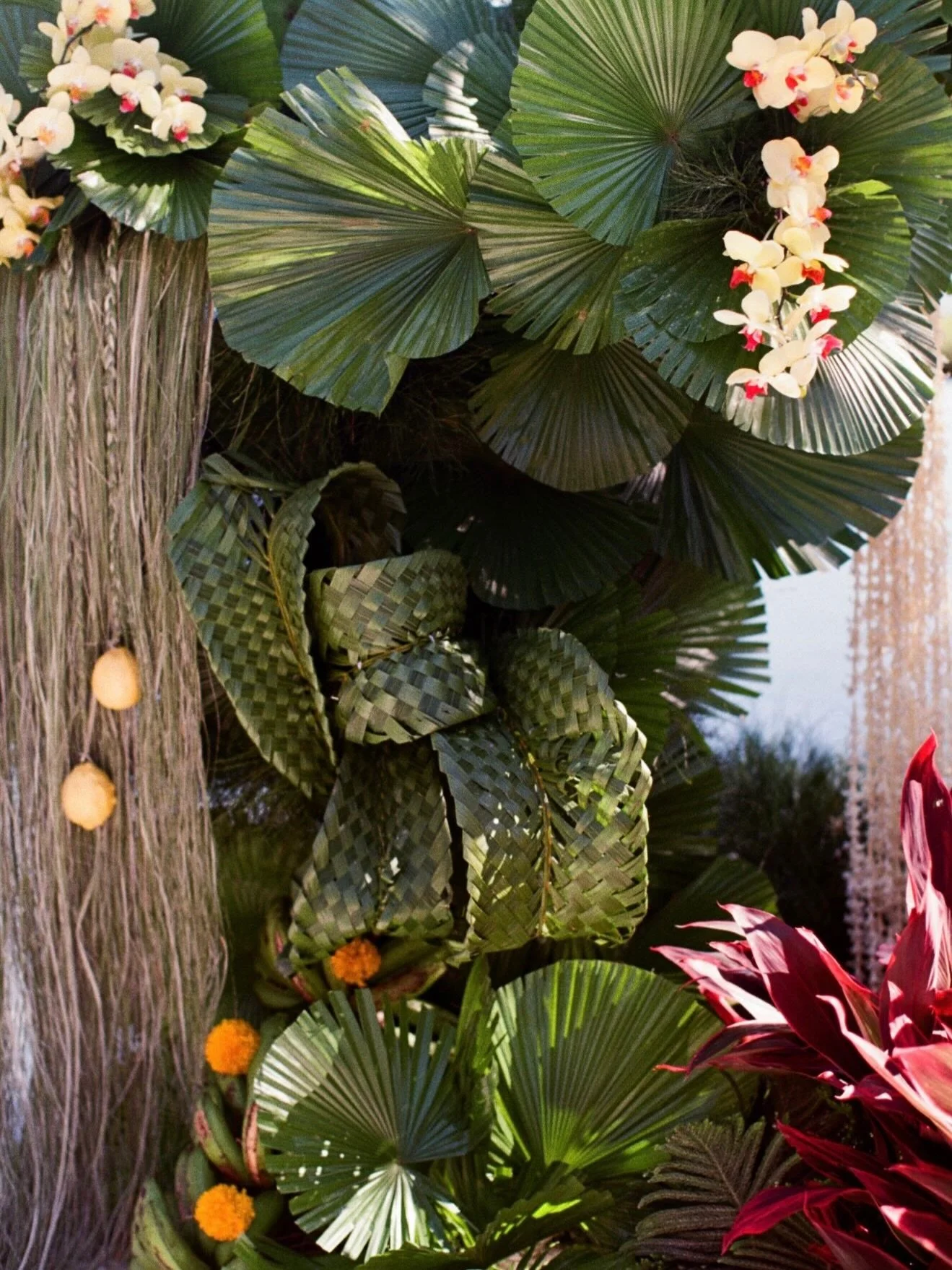 Not your usual tropical.