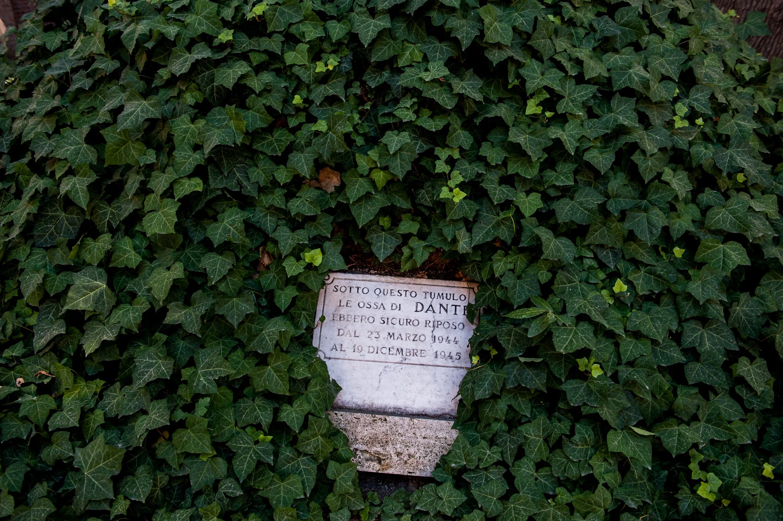 DSC_0661.jpg