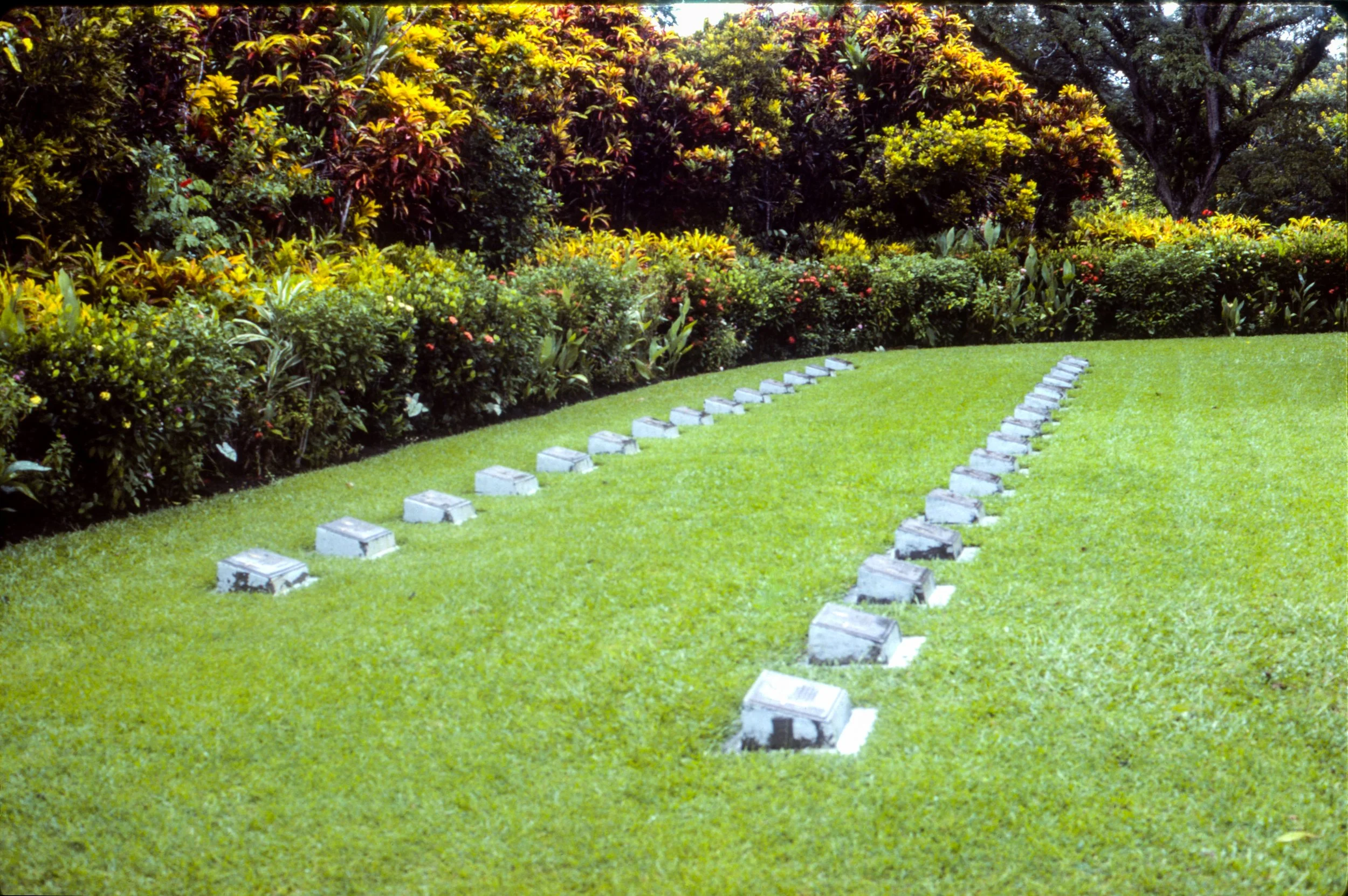 2025-07-28-0010.jpg