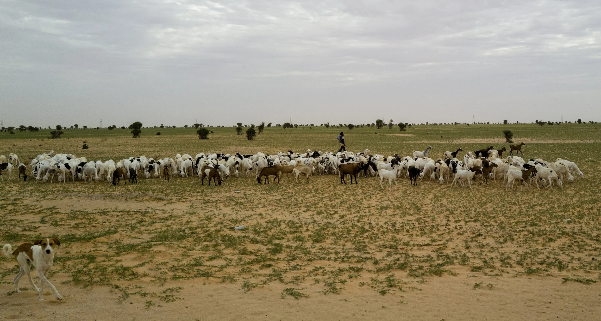 L1010757-2.jpg
