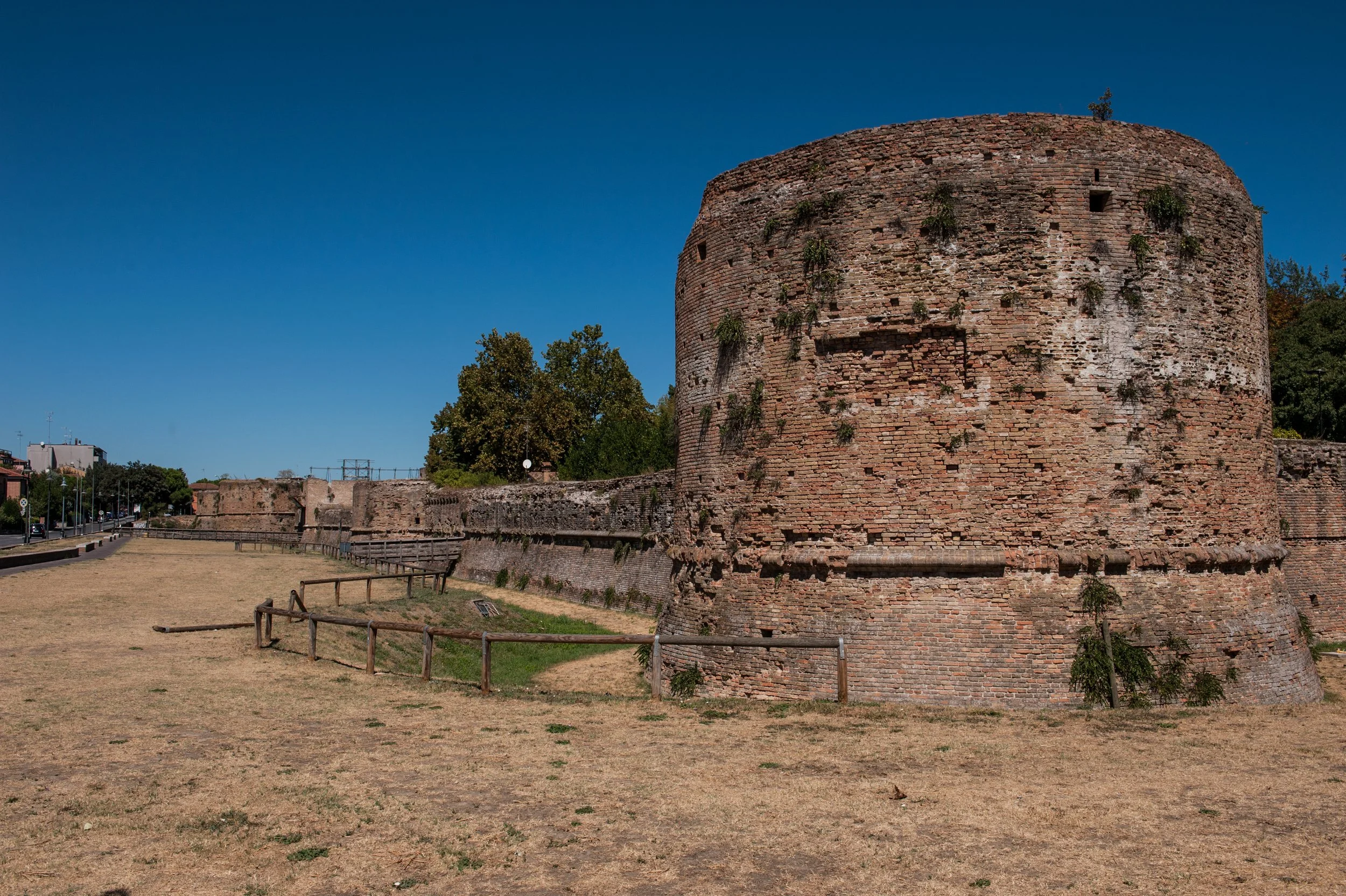 DSC_0809.jpg
