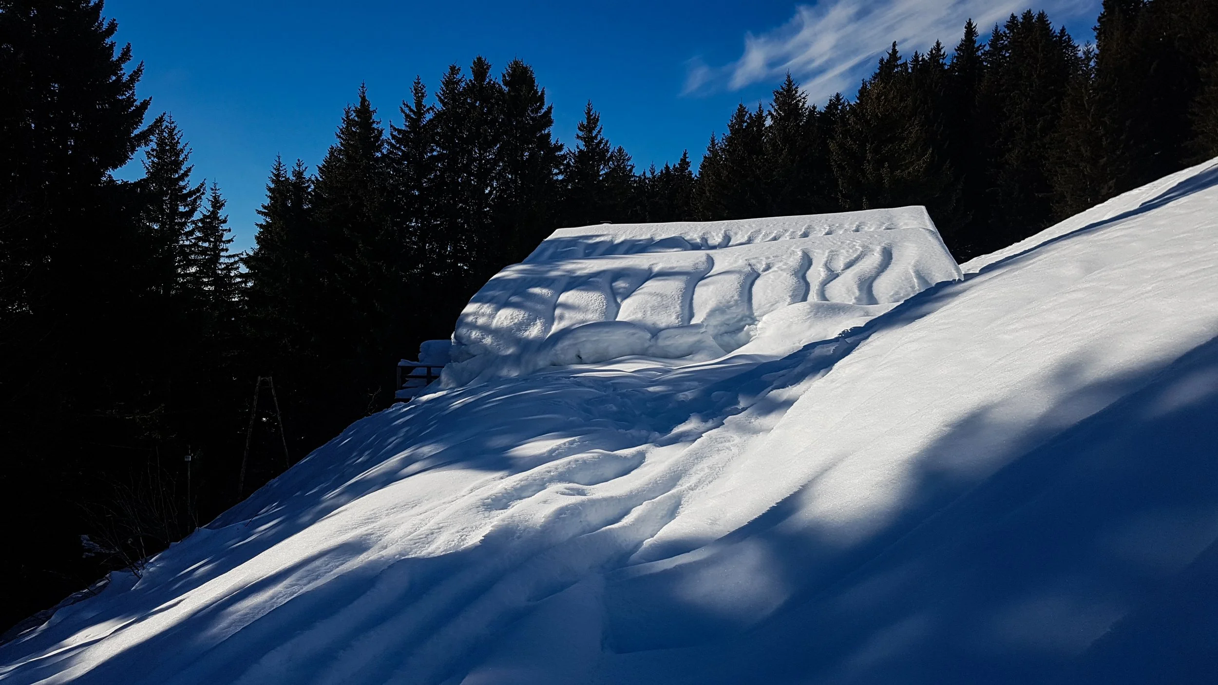 20180130_141913.jpg