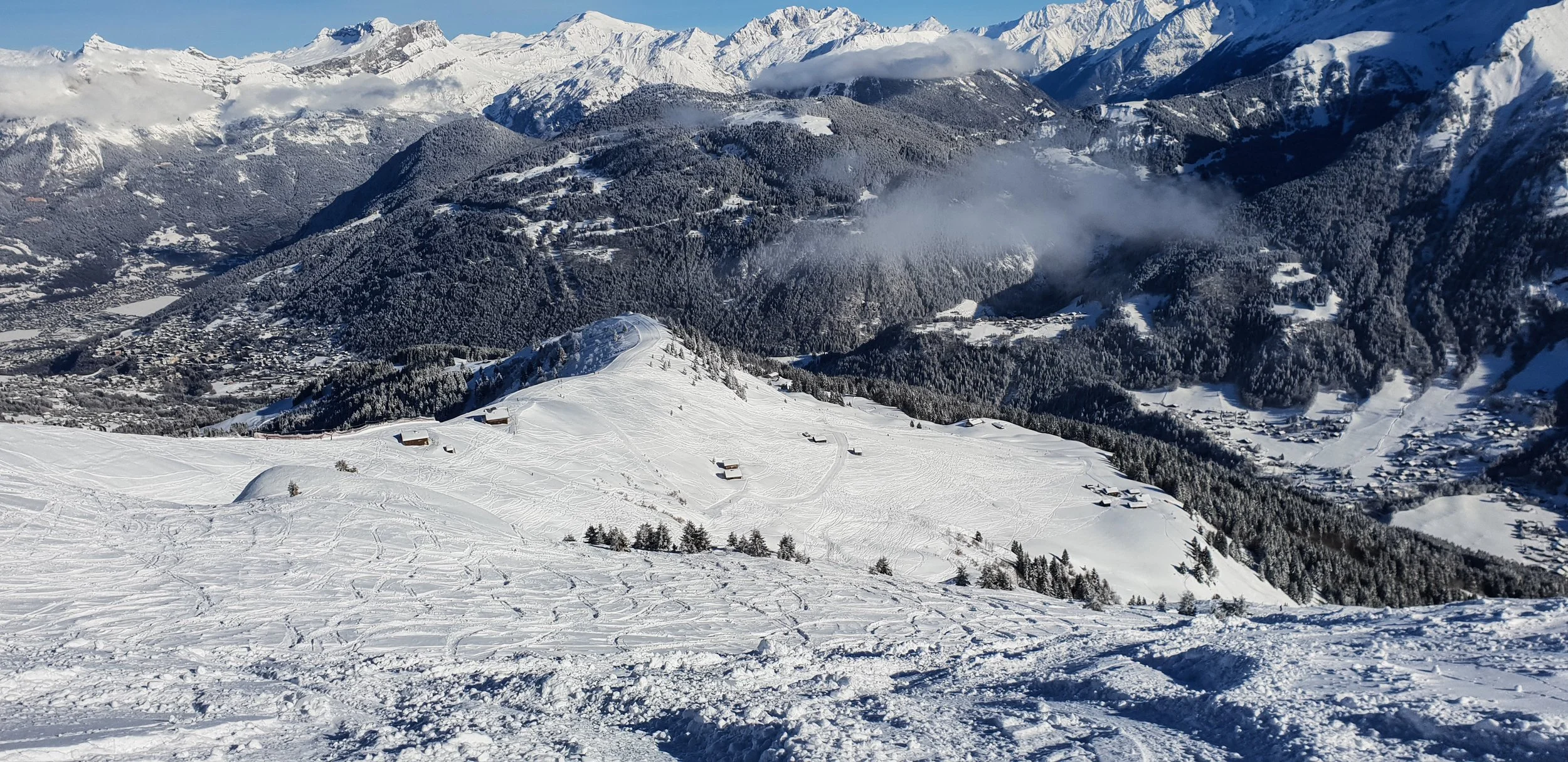 20190129_111701.jpg