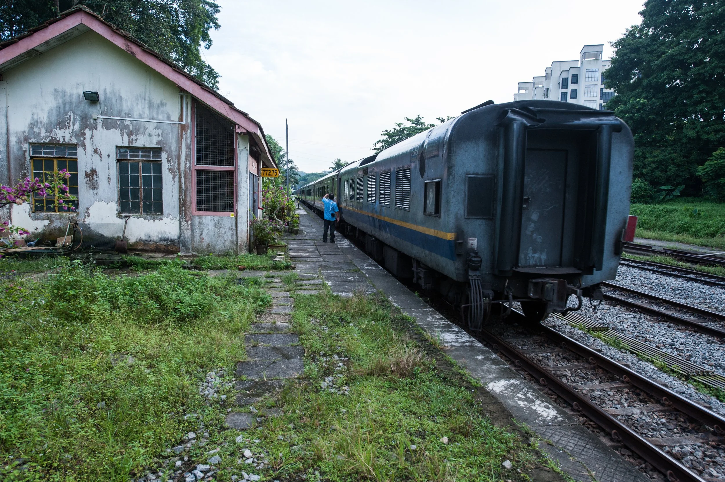 DSC_4984.jpg