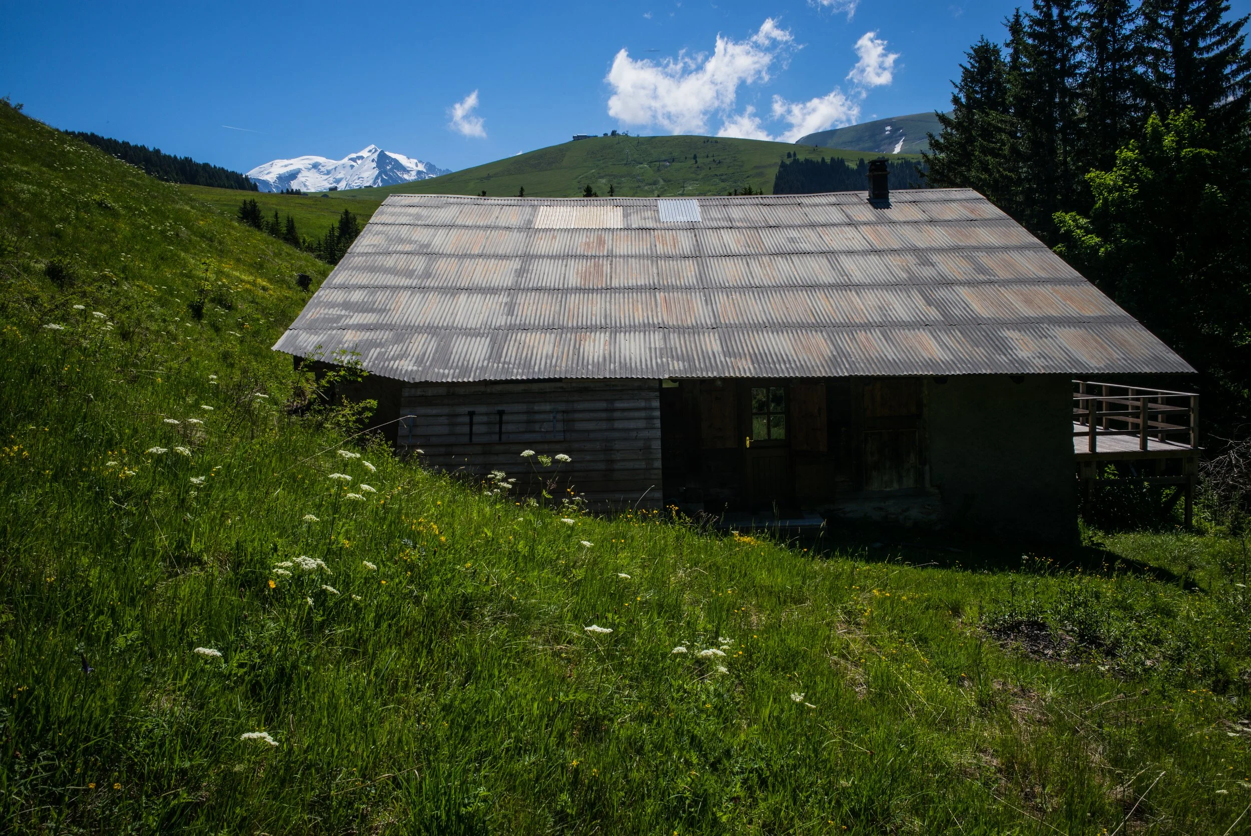 L1000020.jpg