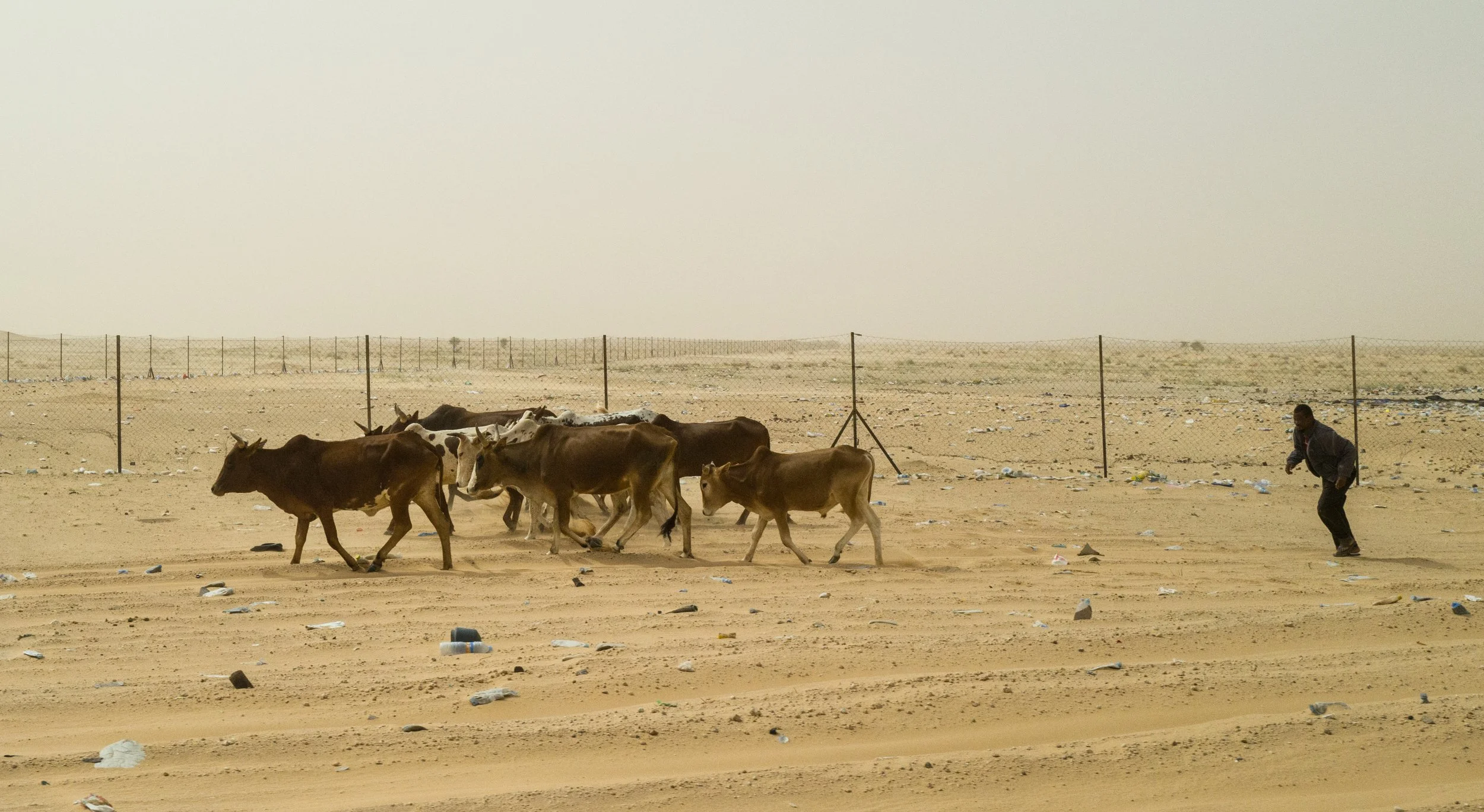 L1010777.jpg
