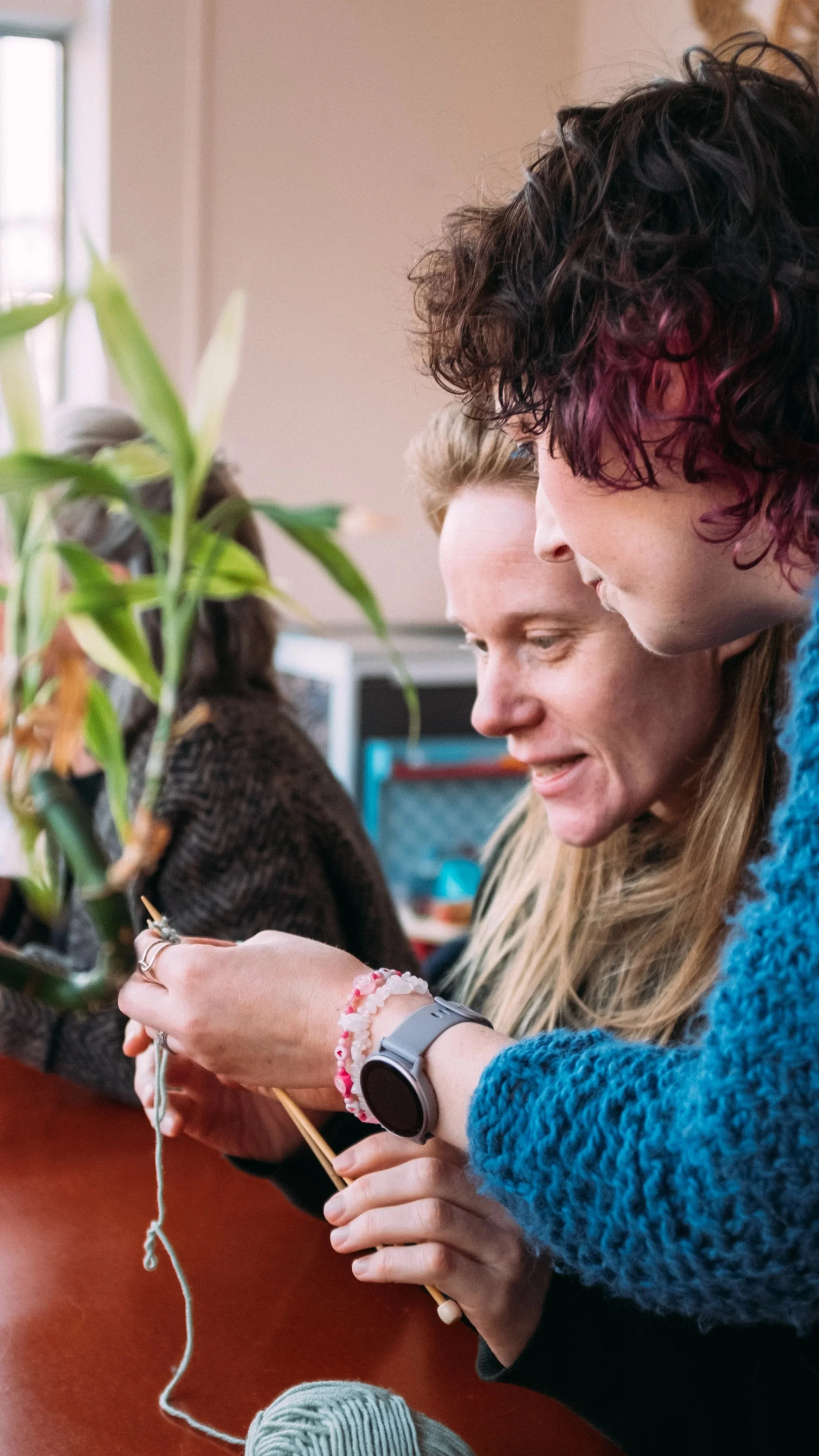 Two women are knitting with yarn and knitting needles, sitting at a table, with a plant partially obscuring one woman. They appear to be engaged in a craft activity.