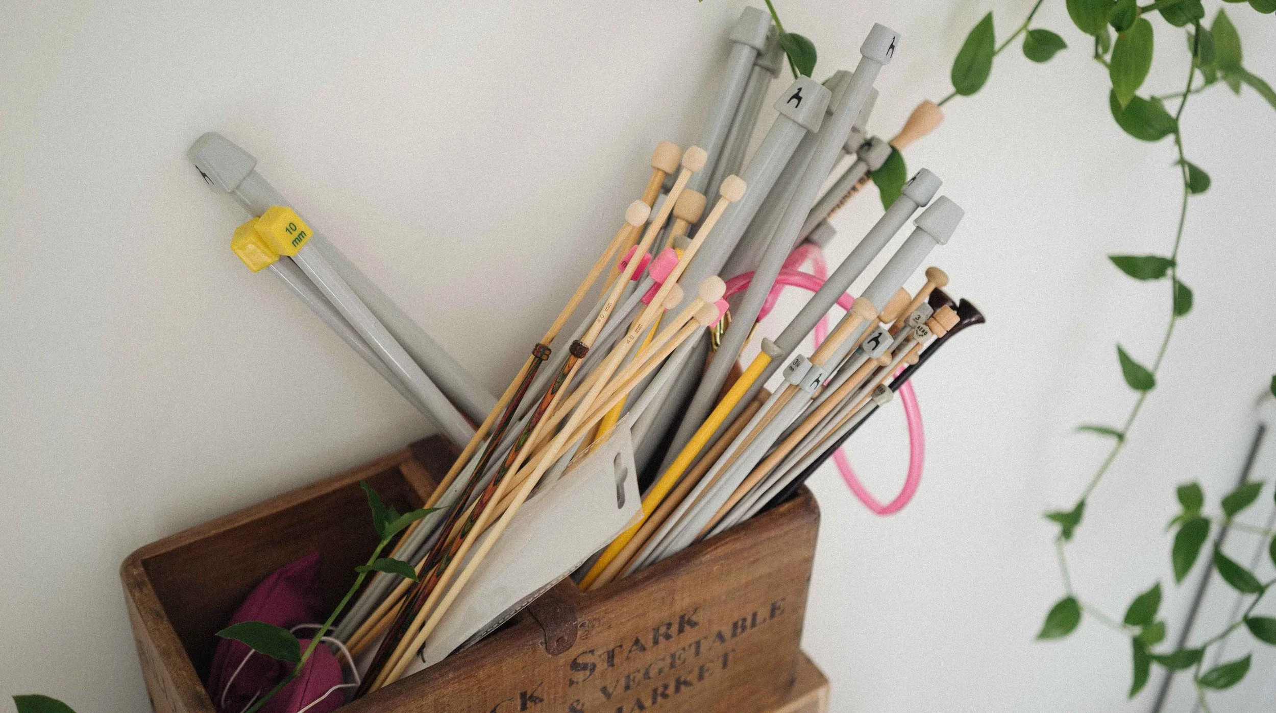 A wooden box containing knitting needles of various sizes and colors, with some pink yarn visible inside. A green leafy plant with trailing vines is partially visible on the right side.