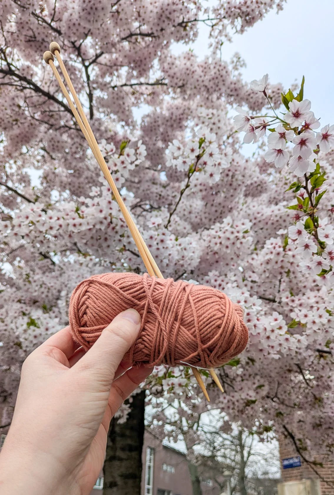 Spring Knitting: A Yarn Guide for New and Beginner Knitters