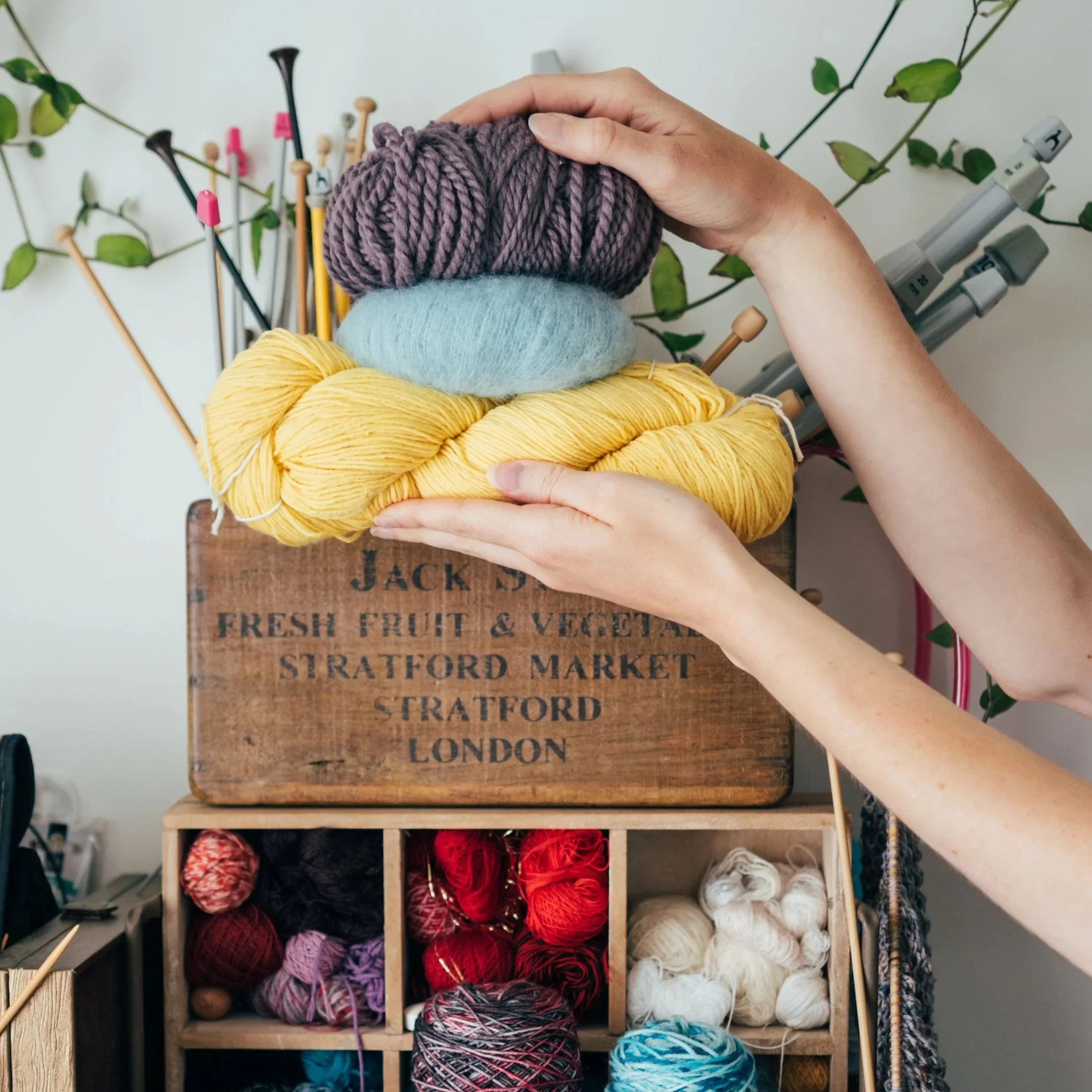 White female hands holds a bundle of knitting yarn in front of knitting needles and more yarn