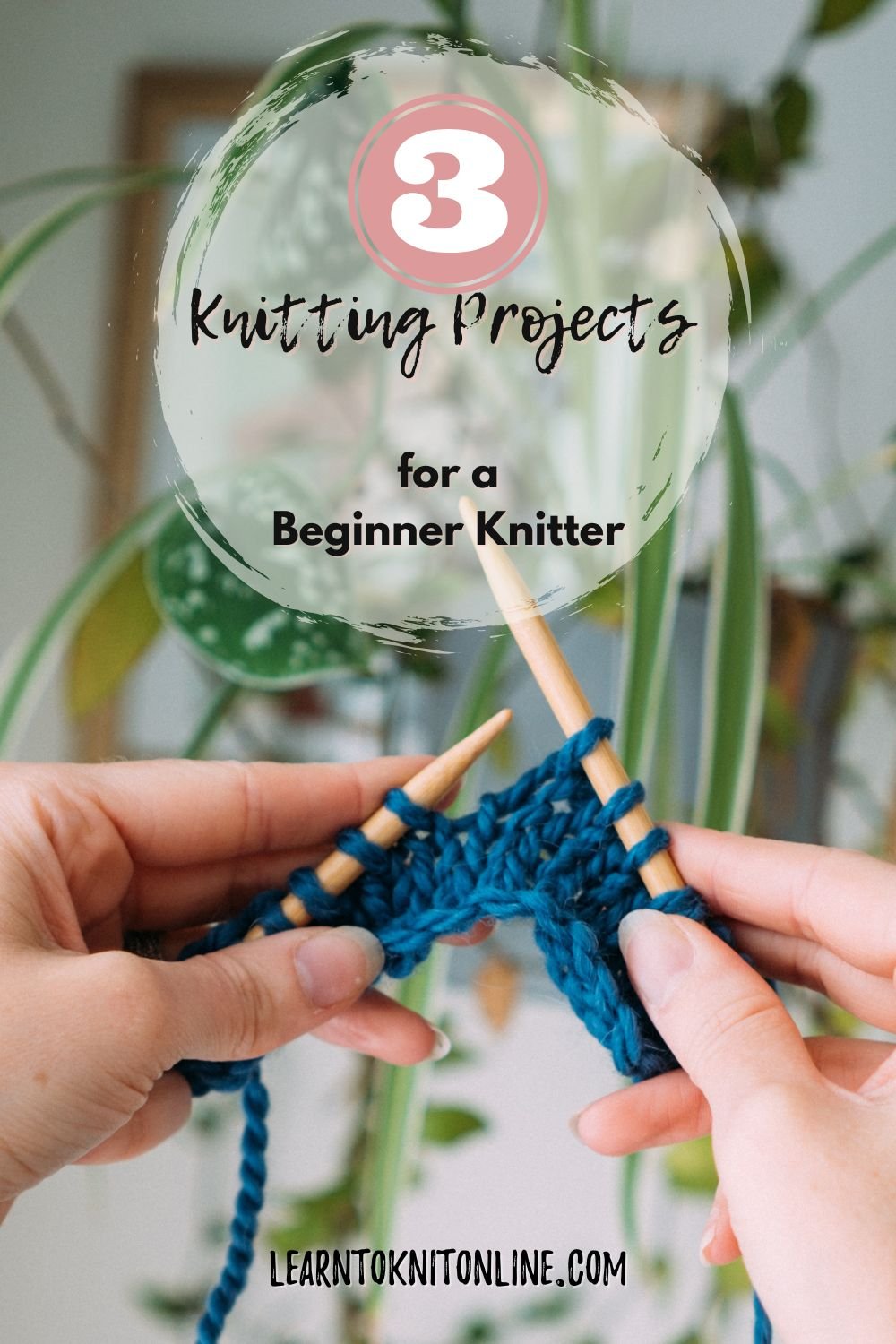 White, female hands hold up wooden knitting needles with blue yarn on against a backdrop of plants