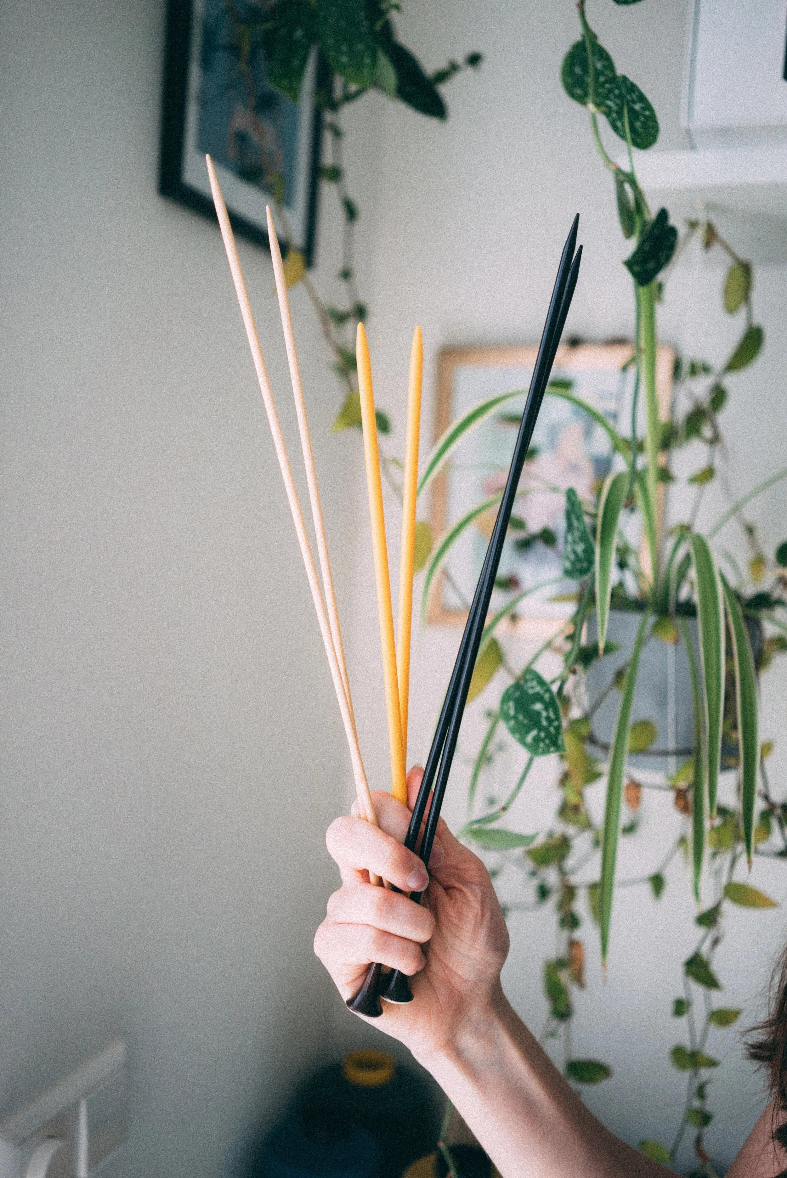 A white female hand holds a bunch of different knitting needles with plants in the background