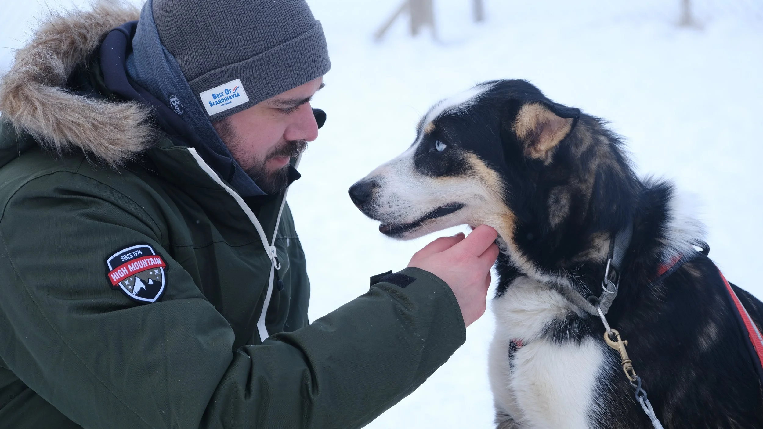 Lapland, Sweden / Nyncke Ernst
