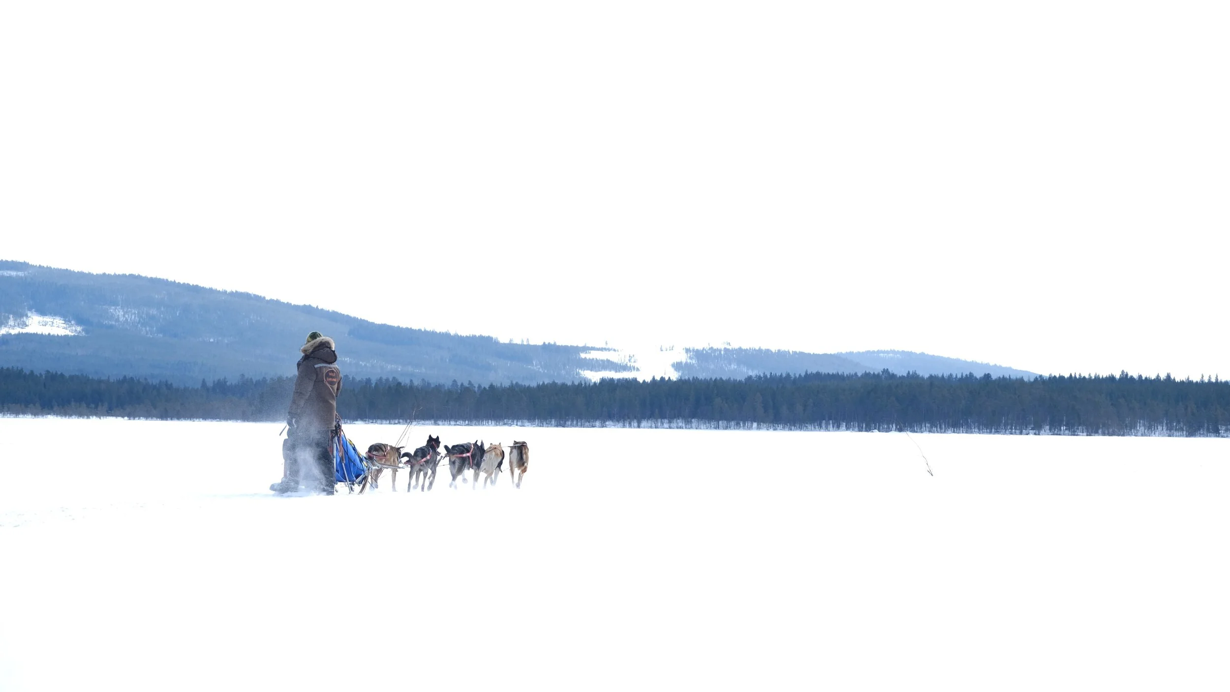 Lapland, Sweden / Nyncke Ernst