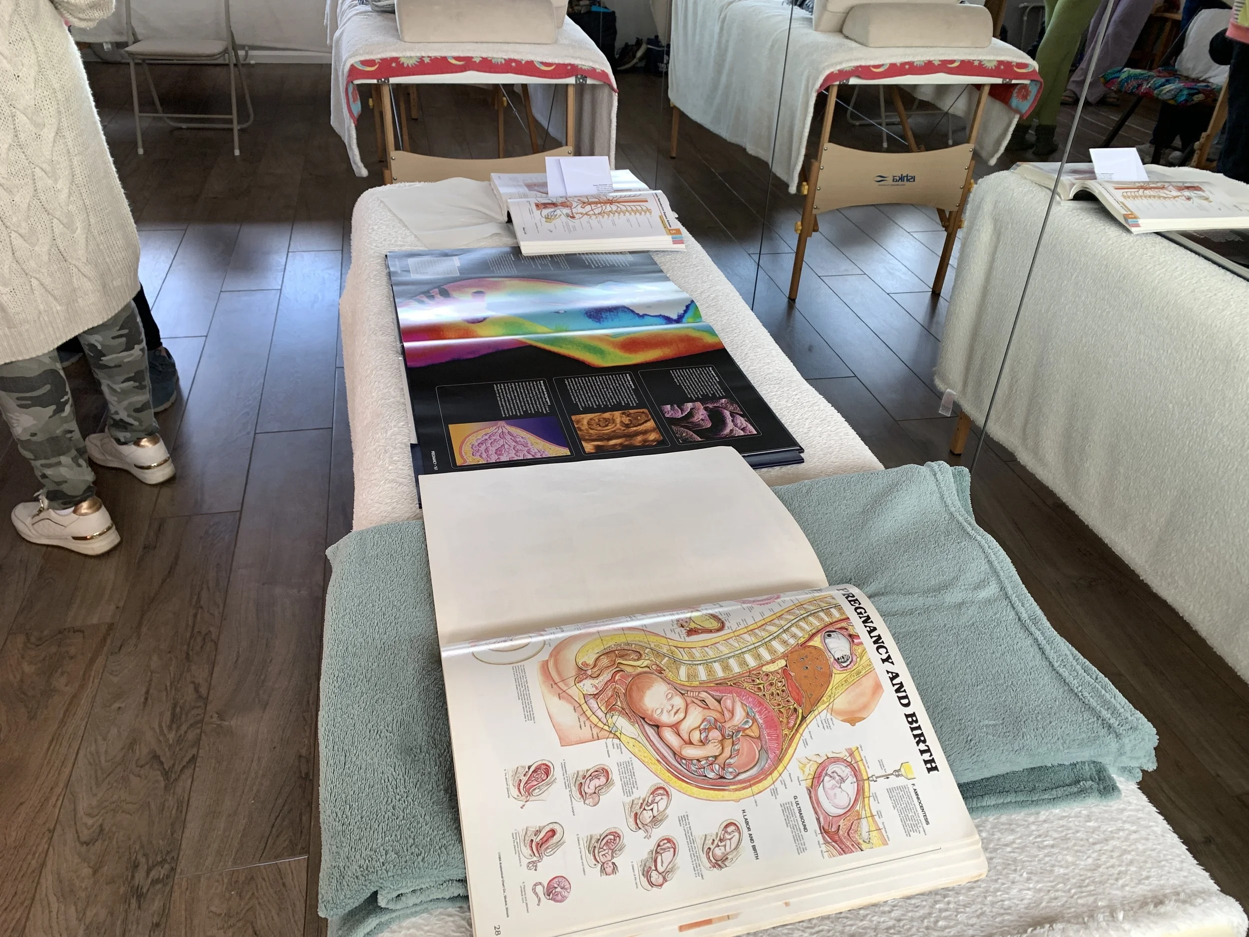 A display of medical and anatomical charts laid out on tables covered with white and pastel-colored tablecloths at an educational exhibit or class.