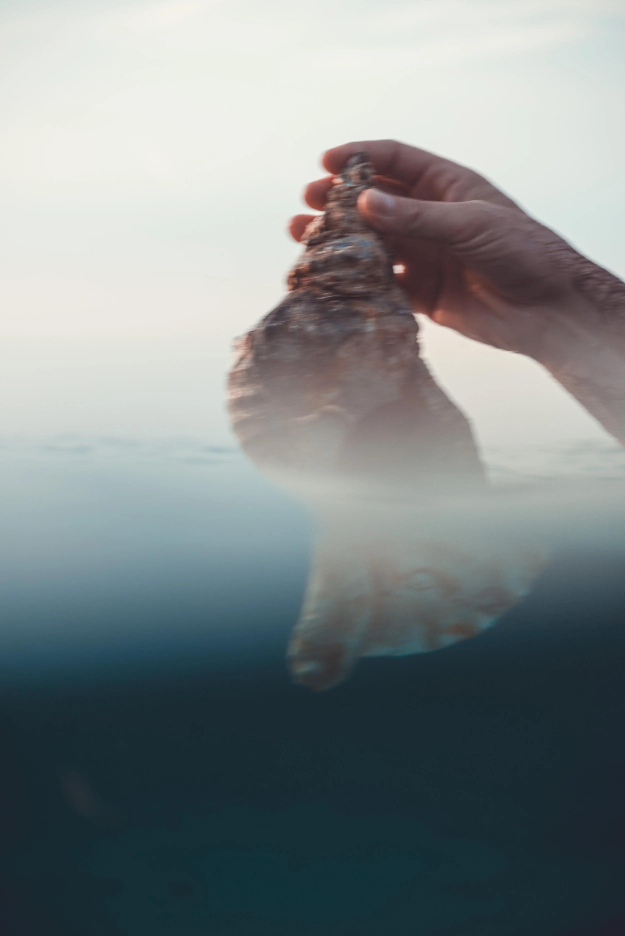 Still life photography of a close-up of a hand holding a seashell, reflected in water.