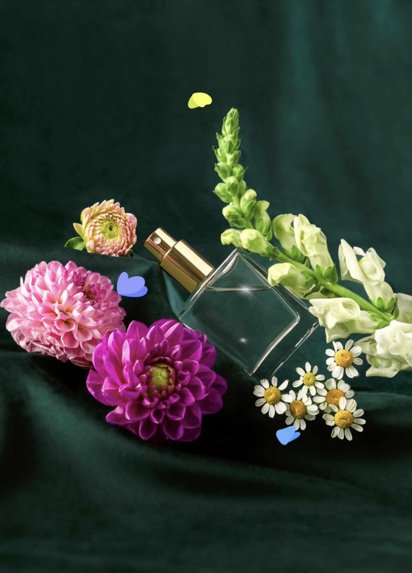 Scents of Sense