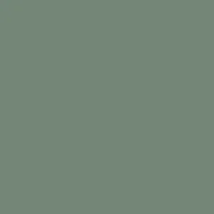 CCS Pale Eucalypt